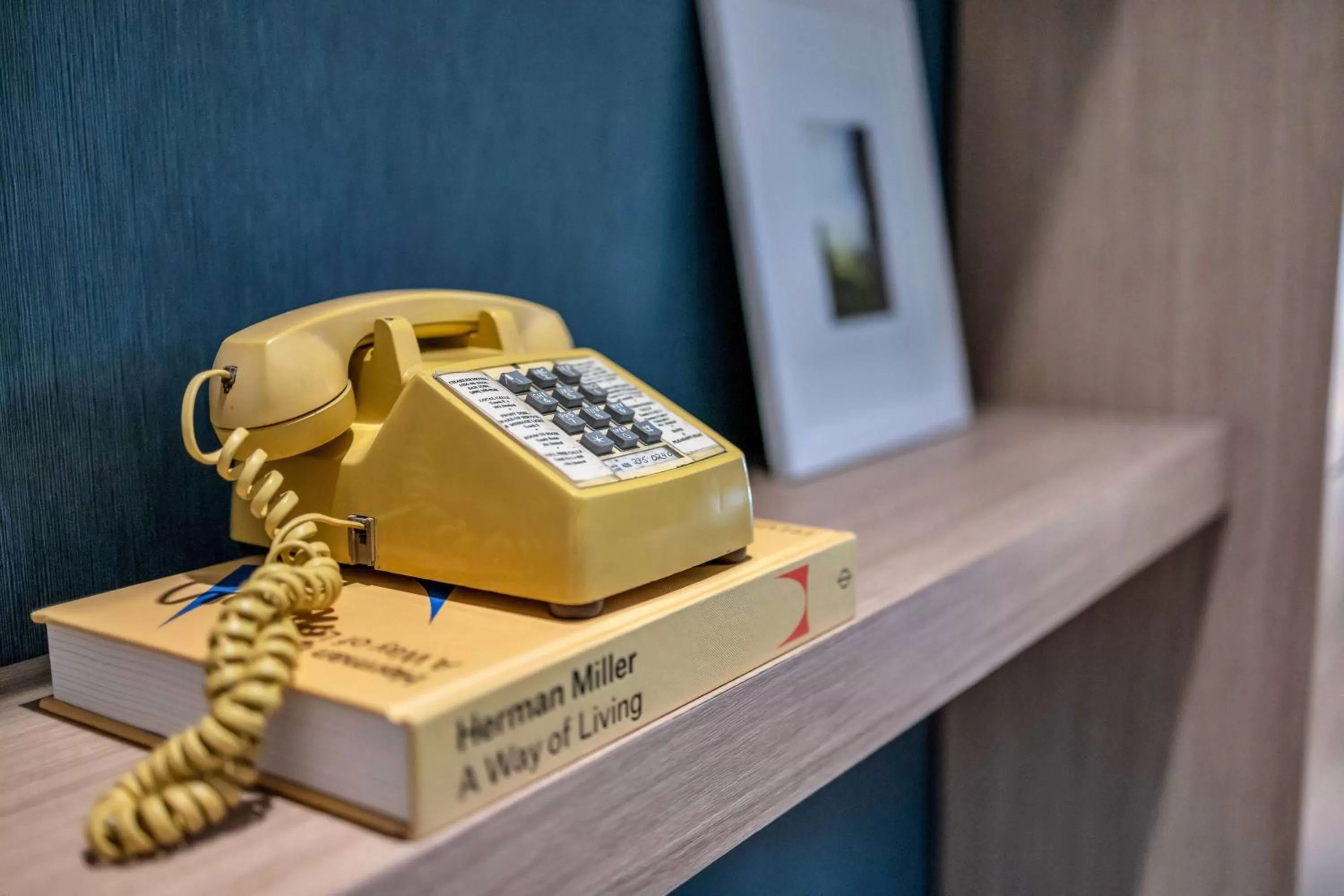 Photo of the whole room in La Quinta Inn & Suites by Wyndham San Jose Airport-Downtown