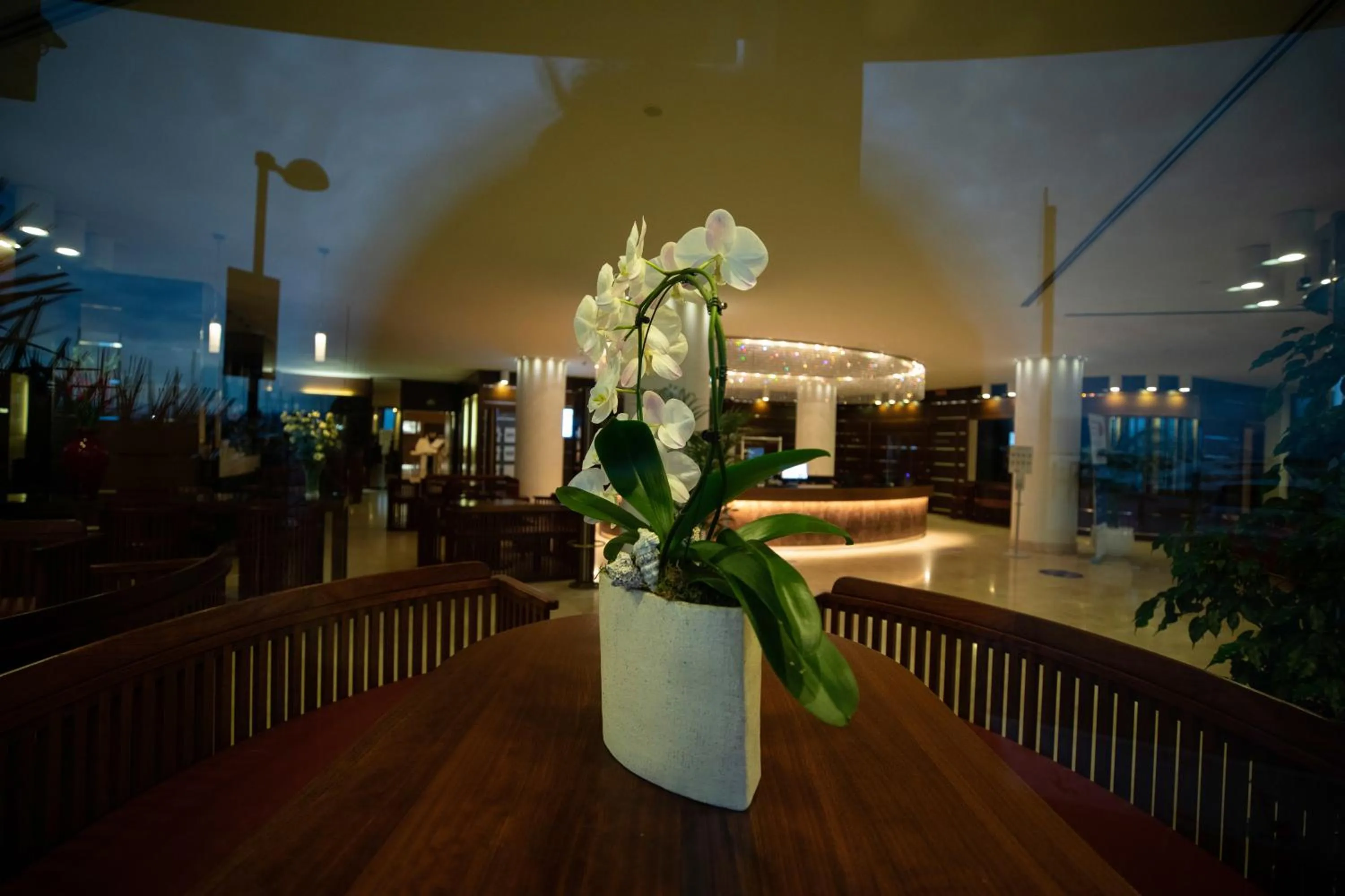 Lobby or reception in Laguna Palace Hotel Grado