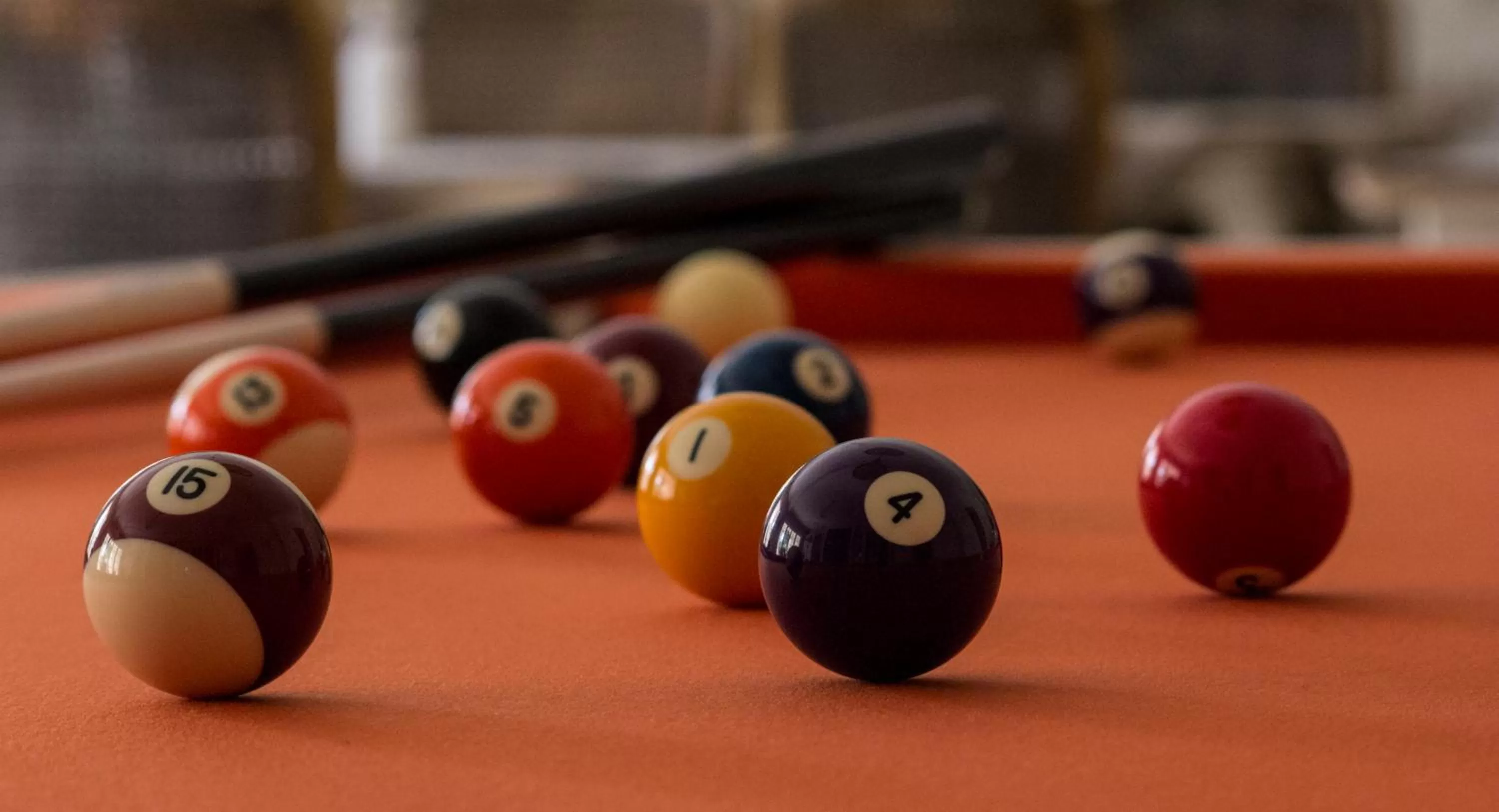 Activities, Billiards in Hotel Le Mas Saint Joseph