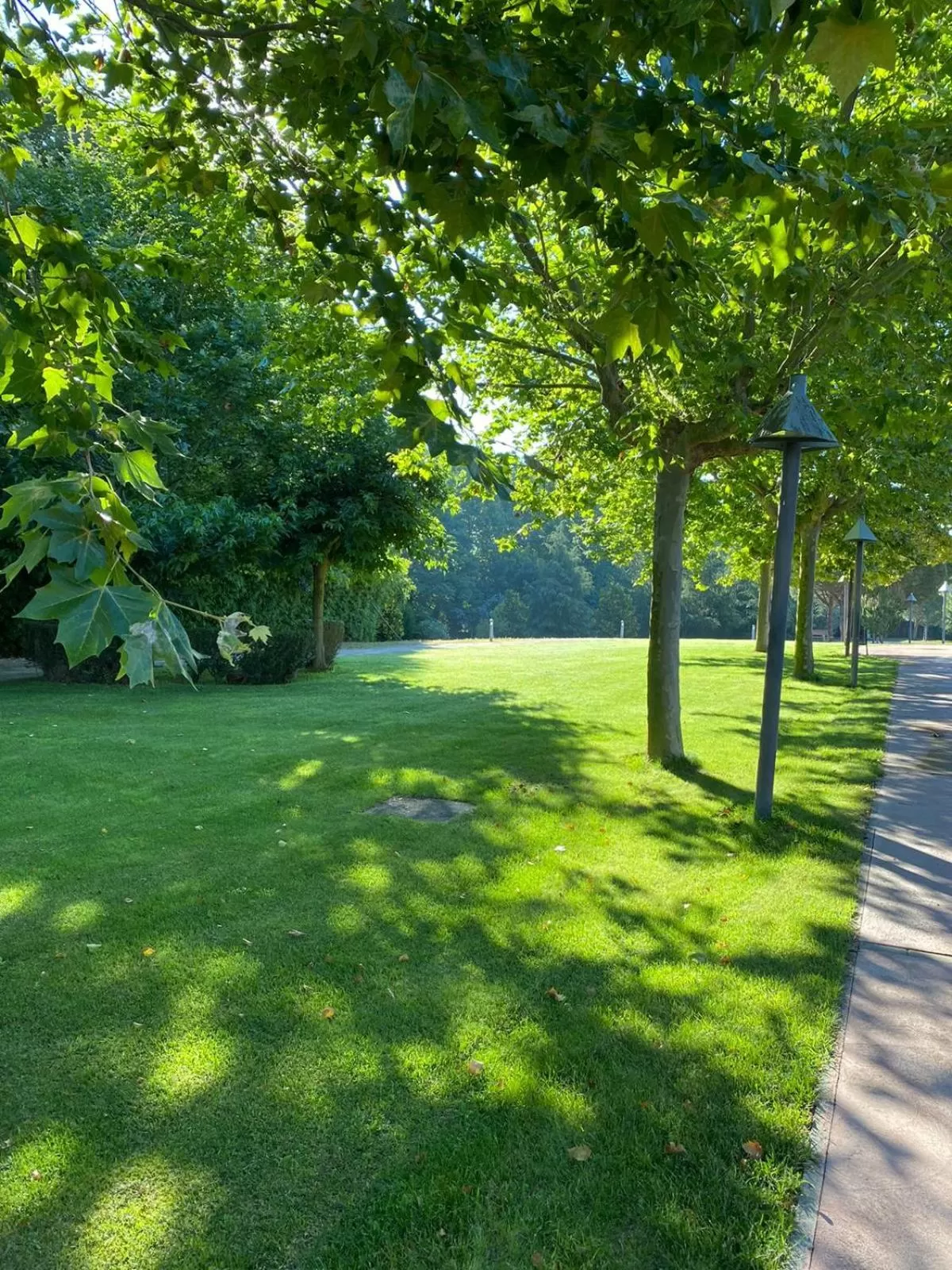 Patio in Casa Santa Elena