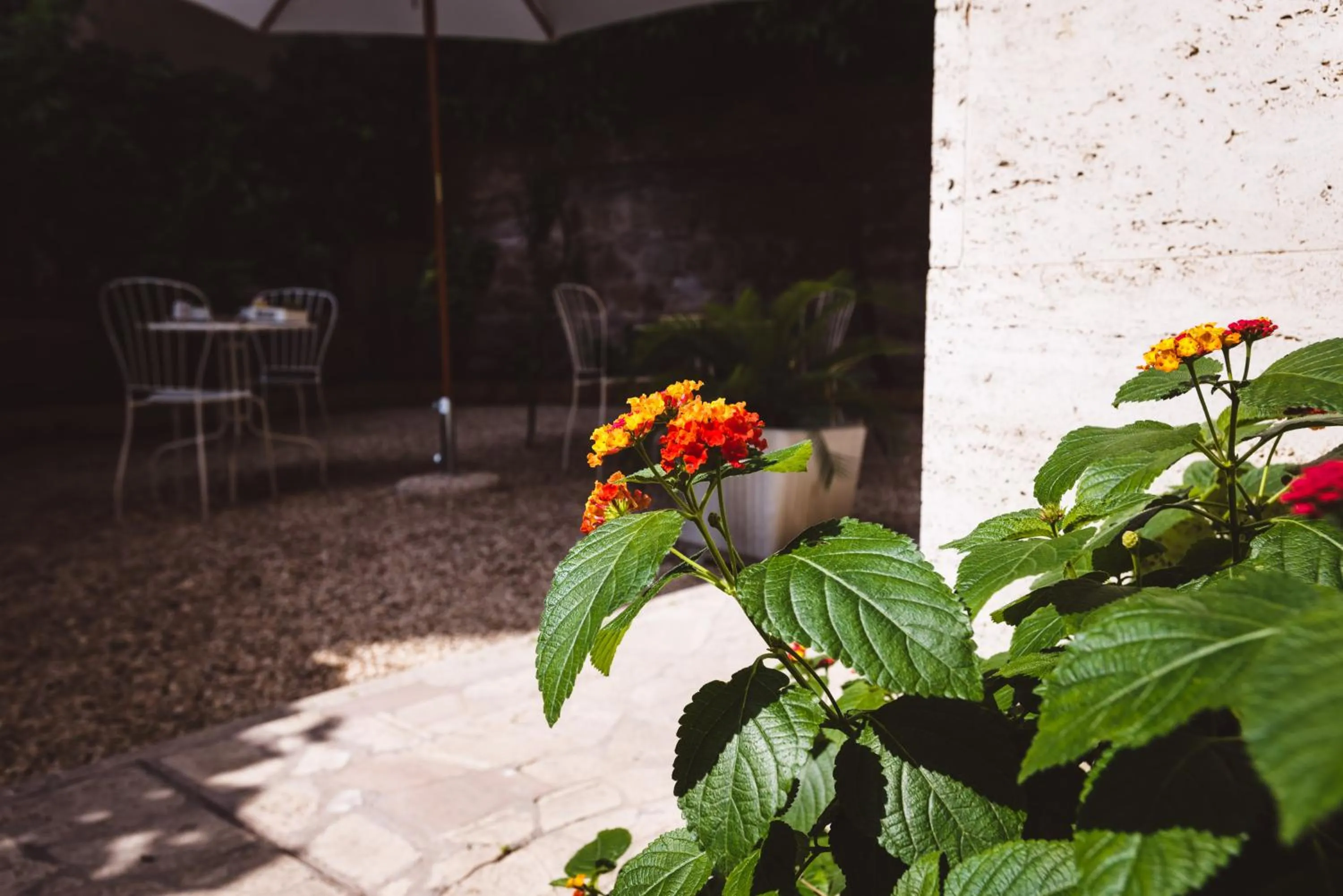 Garden in Relais Circo Massimo