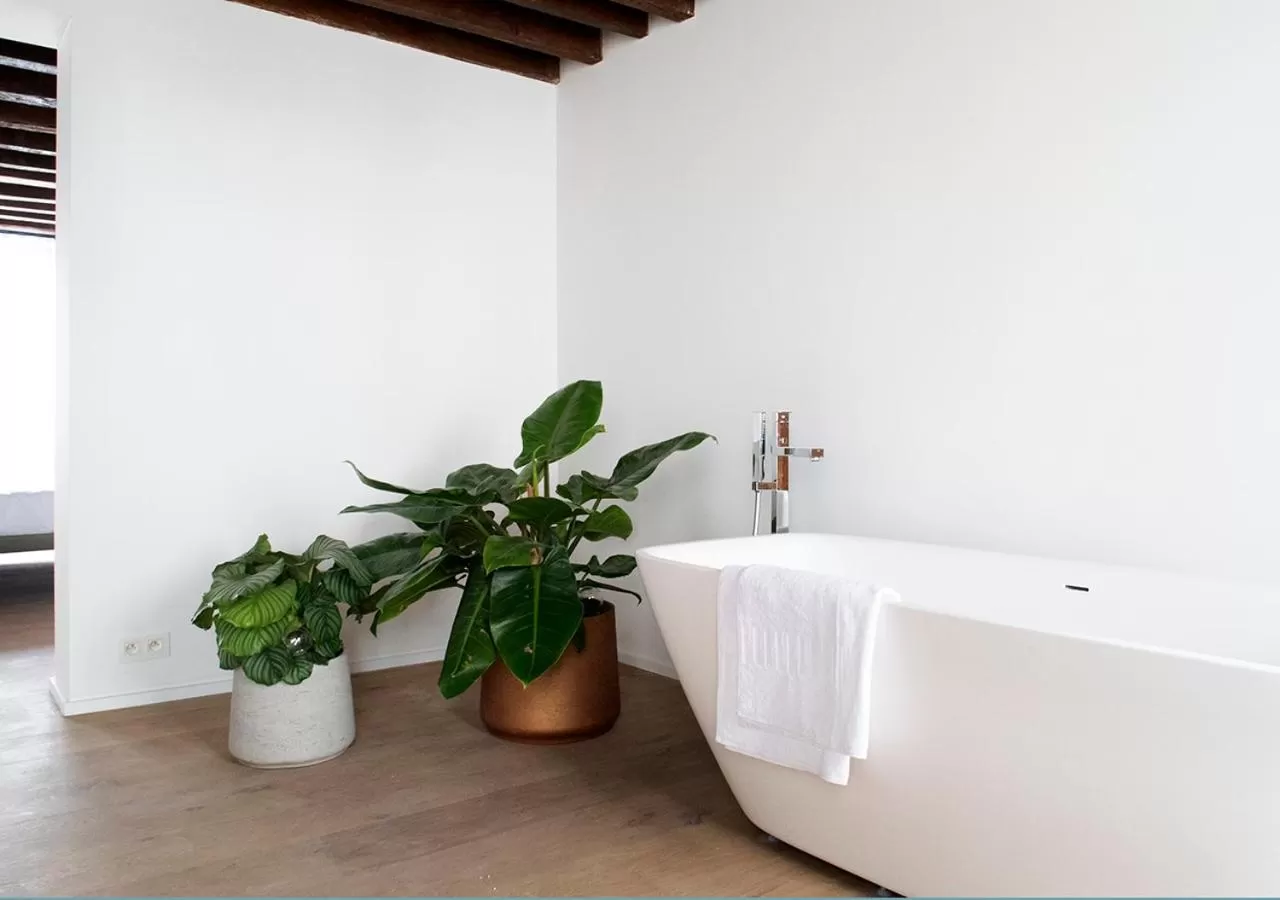 Living room in The Greenhouse