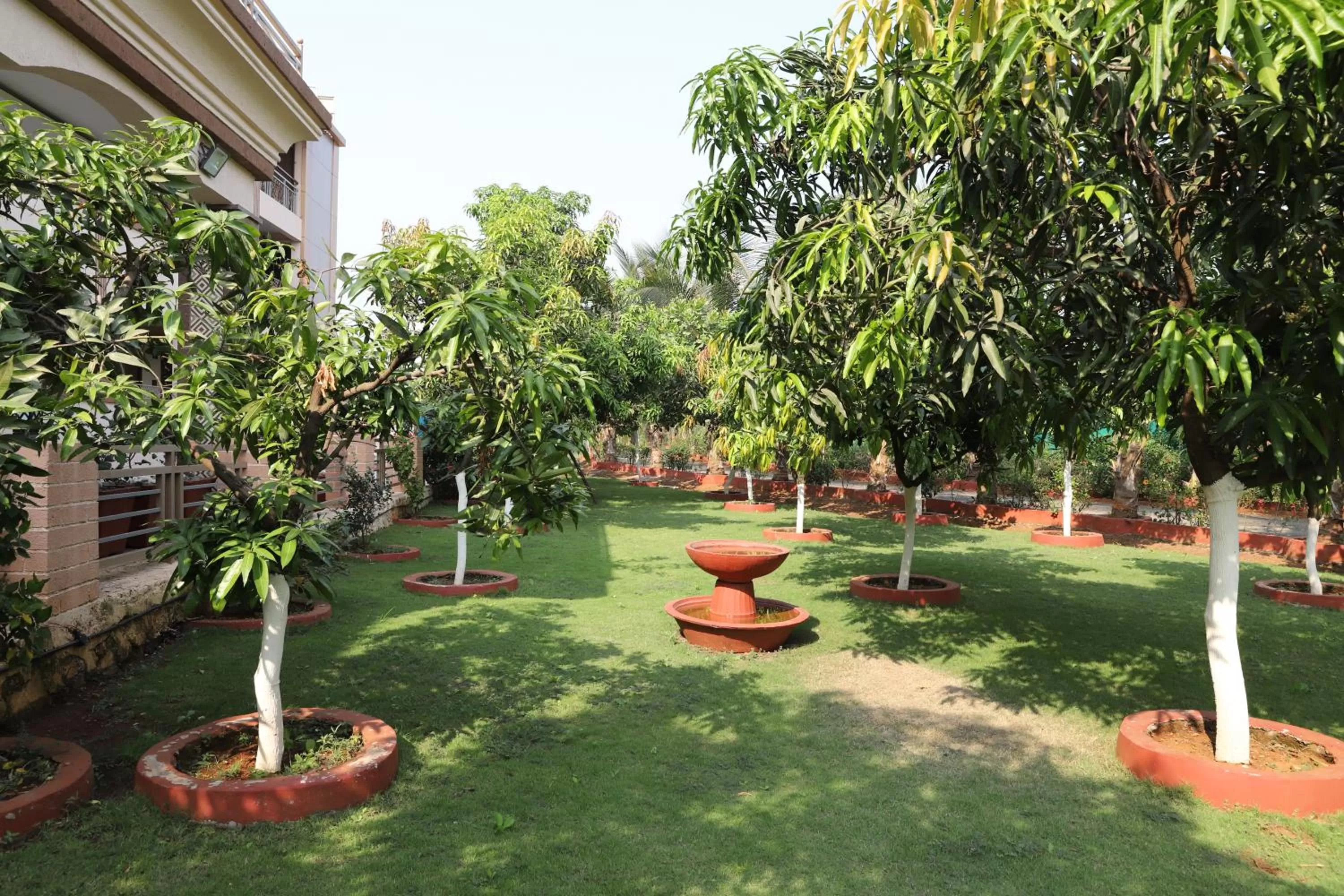 Garden in Raaj Resort