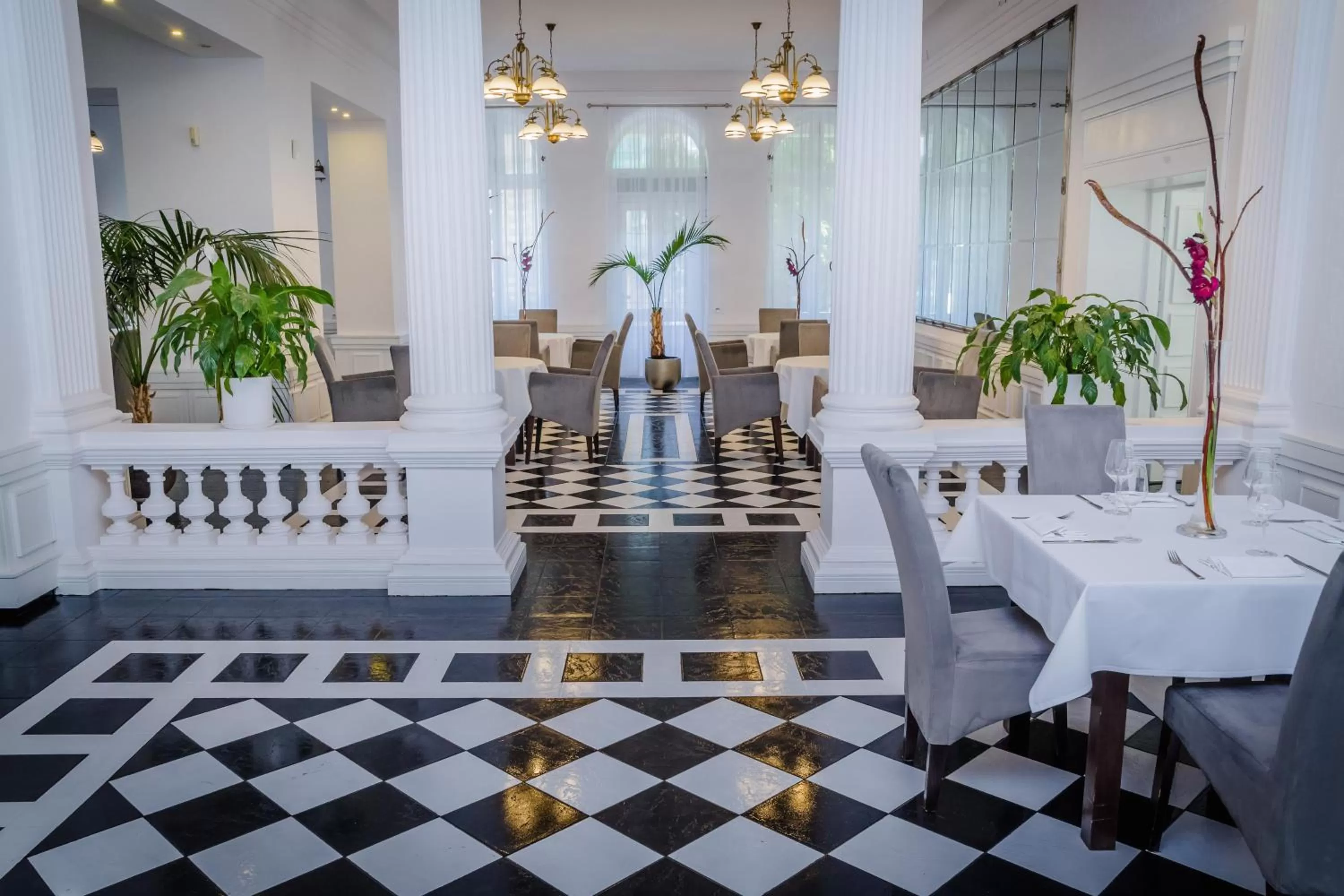 Restaurant/places to eat in Matejki 8