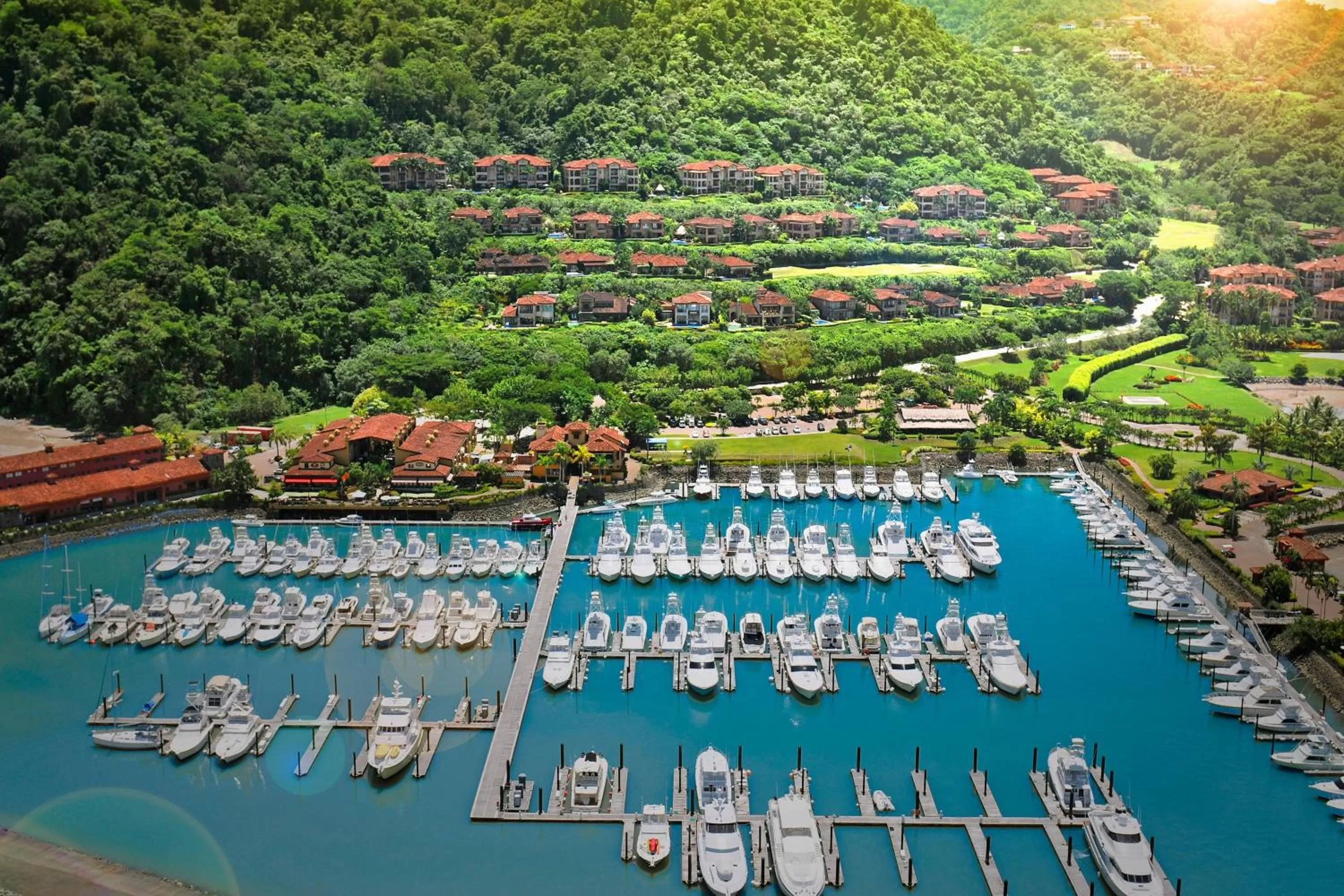 View (from property/room) in Los Sueños Marriott Ocean & Golf Resort