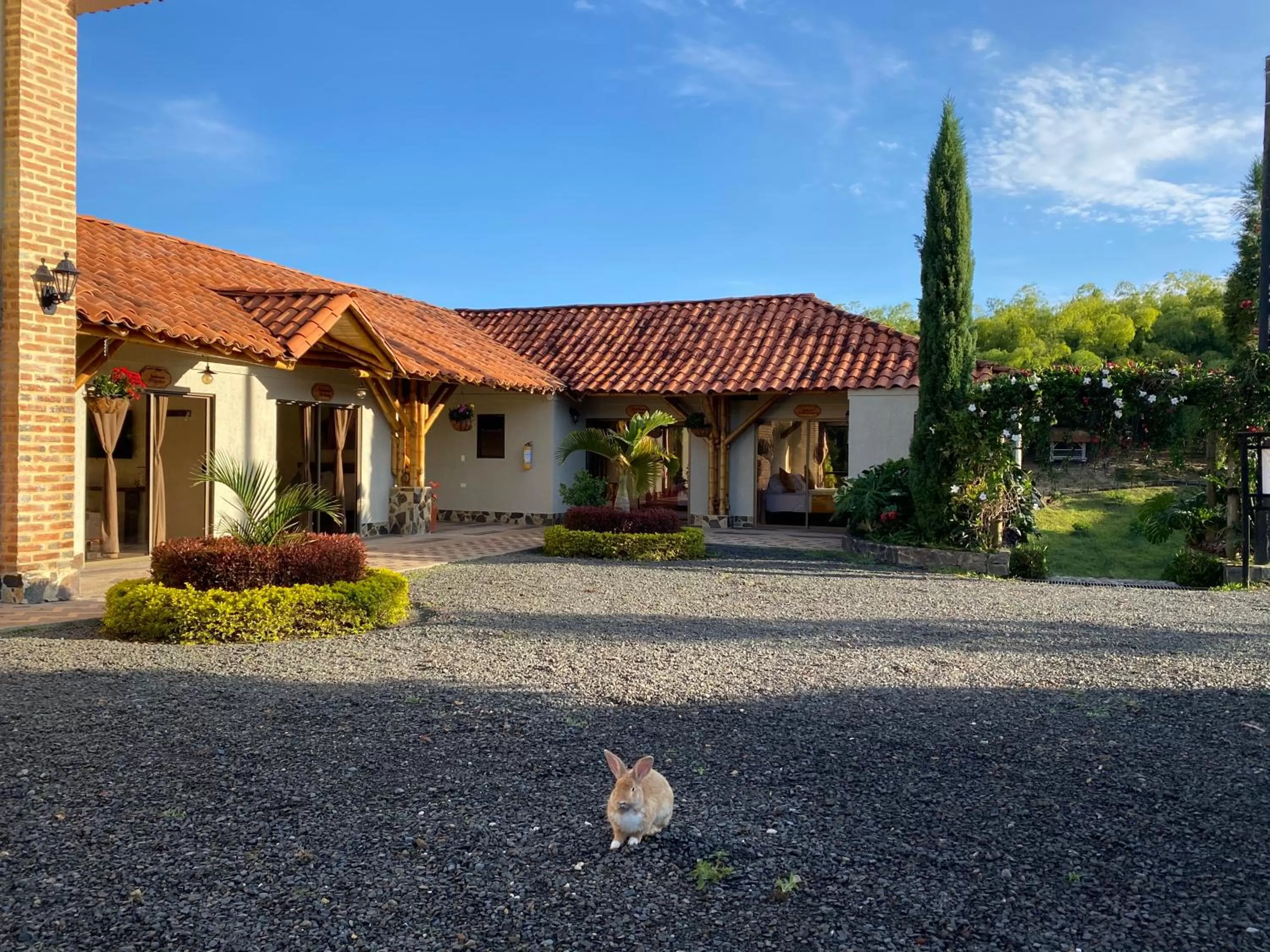 Pets in La Victoria Hotel Campestre