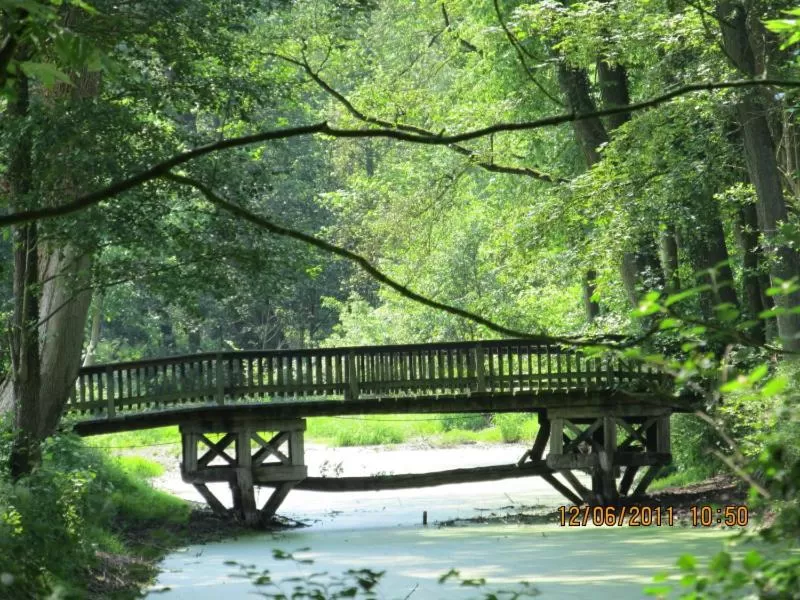 Natural landscape in Landhaus Nütschau