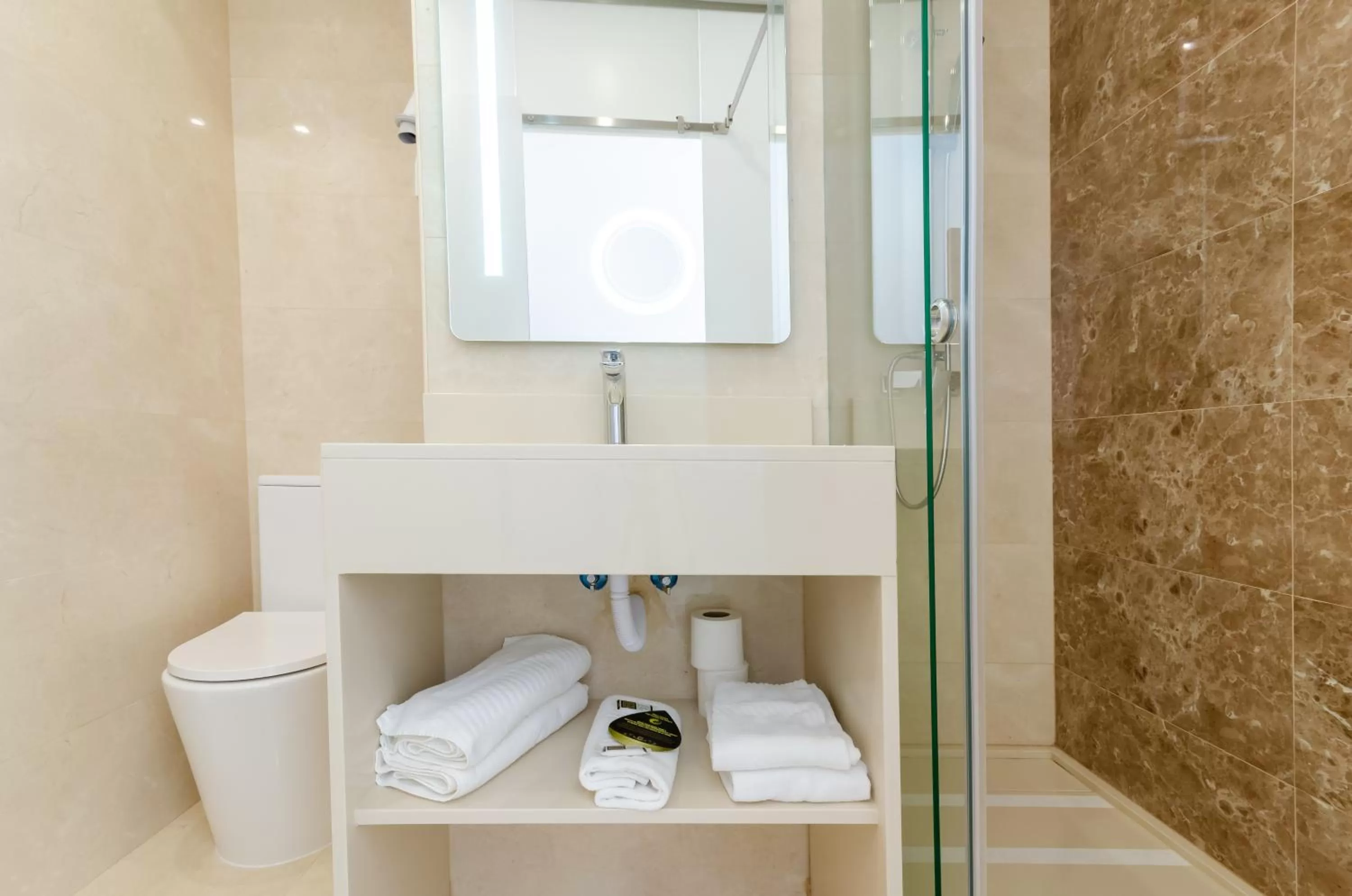 Shower in Hotel Borges Chiado