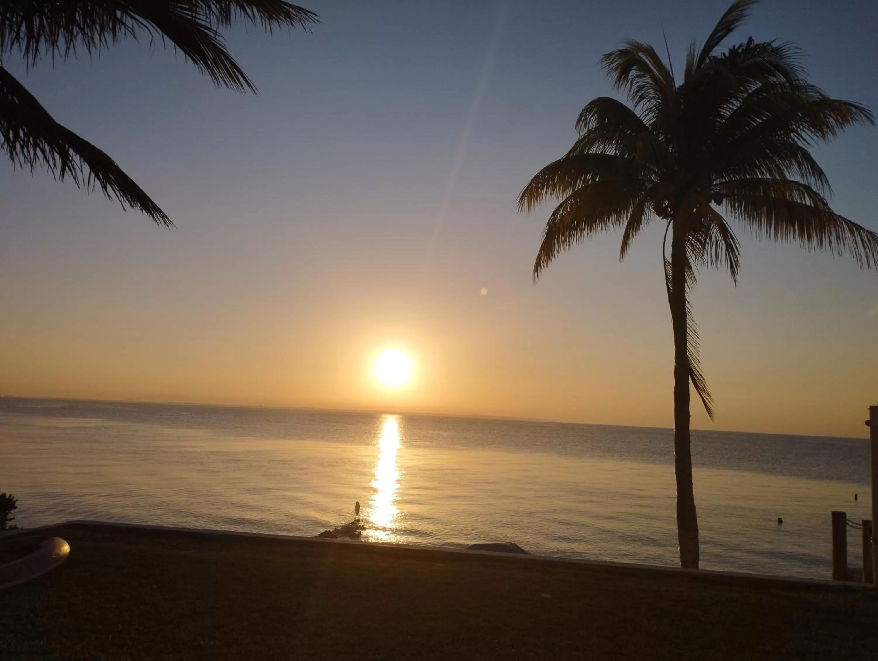 Natural landscape, Sunrise/Sunset in Flamingo Ocean View