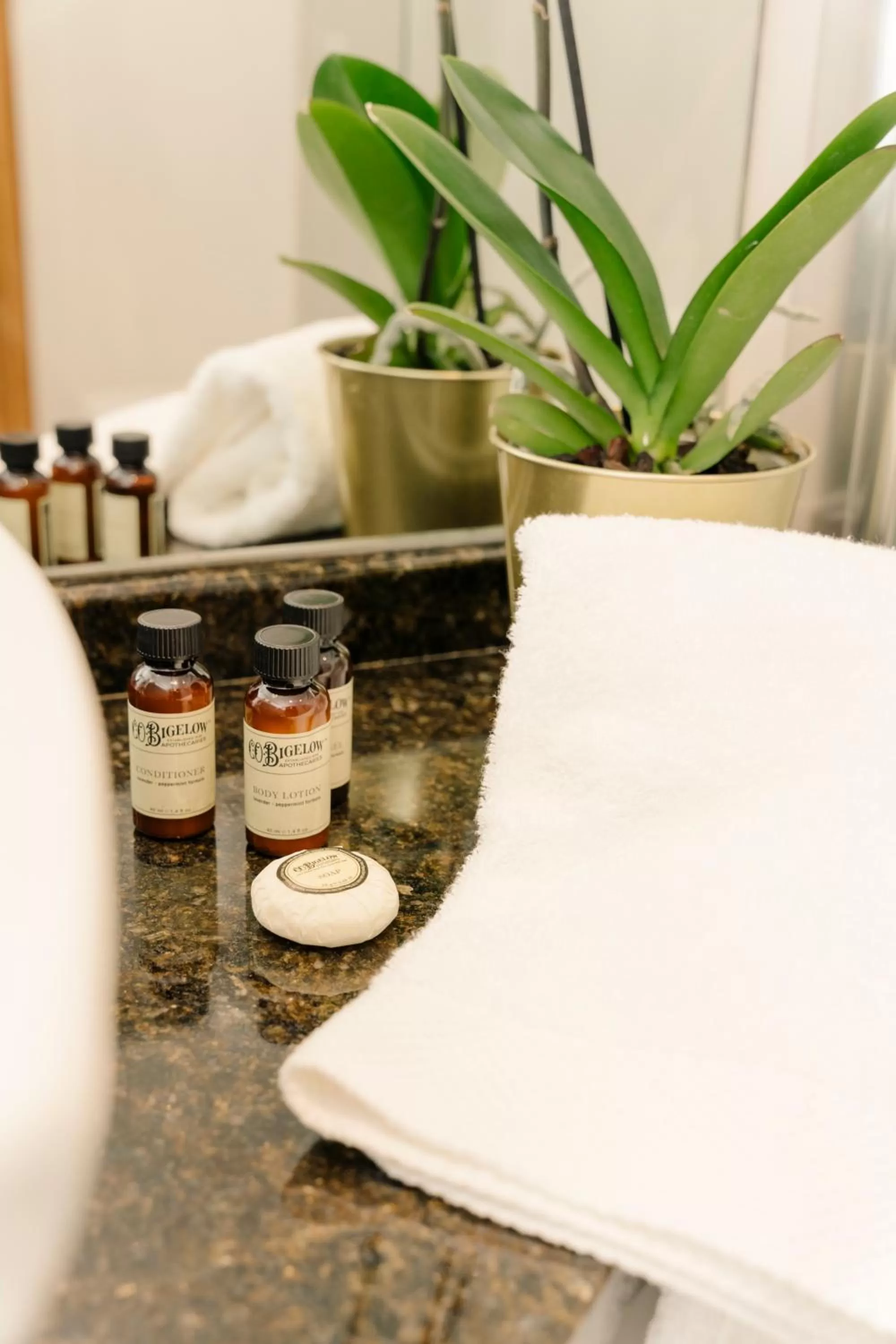 Bathroom in Cosmopolitan Hotel