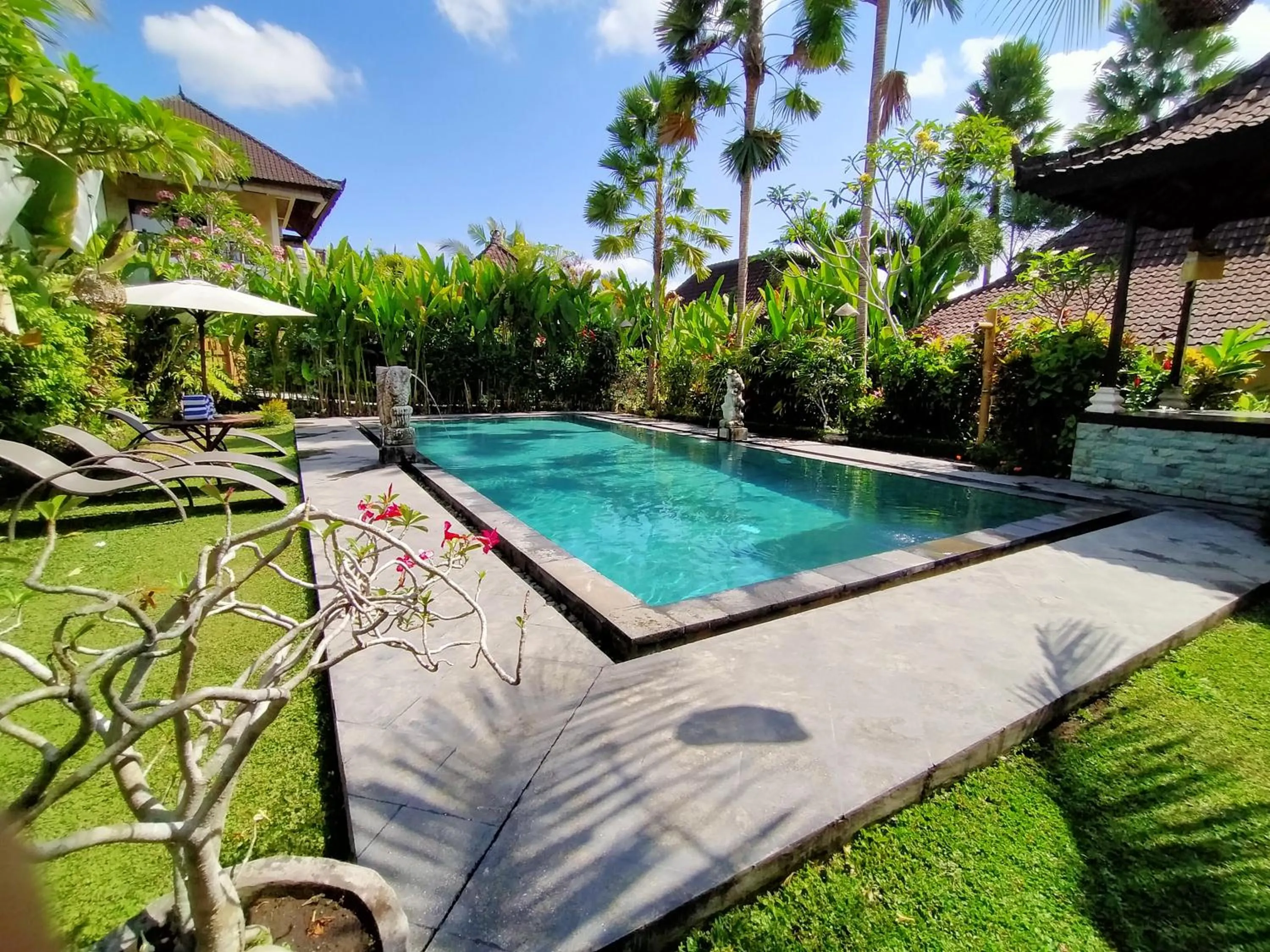 Swimming pool in Bali Dream Resort Ubud