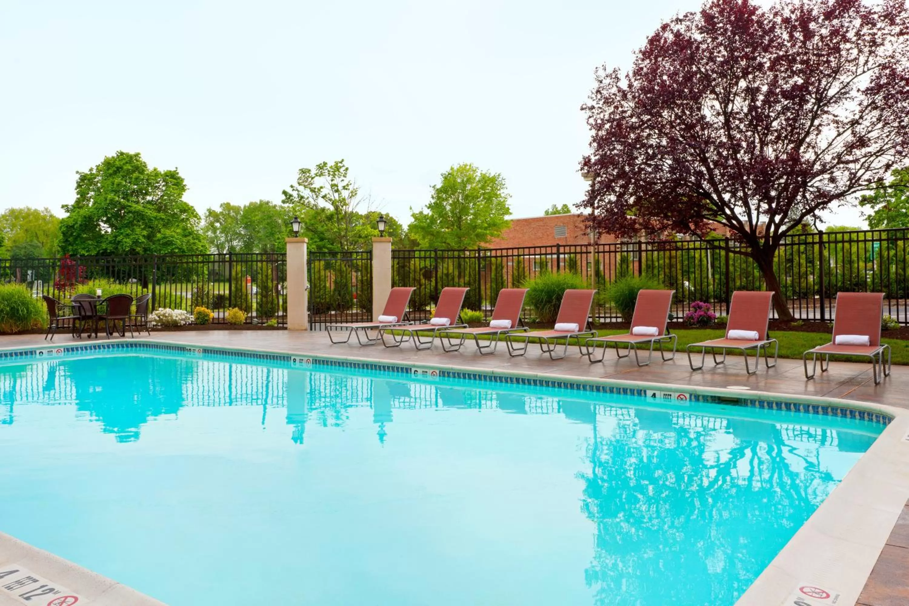 Swimming pool in Holiday Inn Clark - Newark by IHG