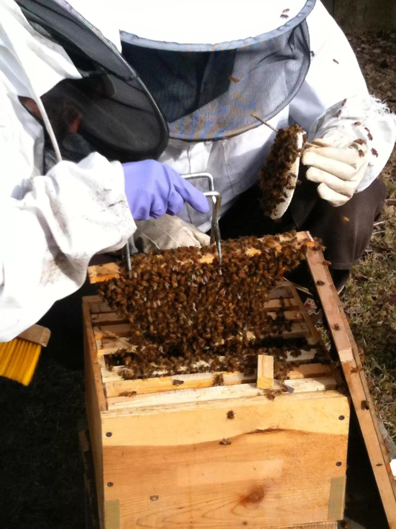 Activities in Gardenside Bed and Breakfast