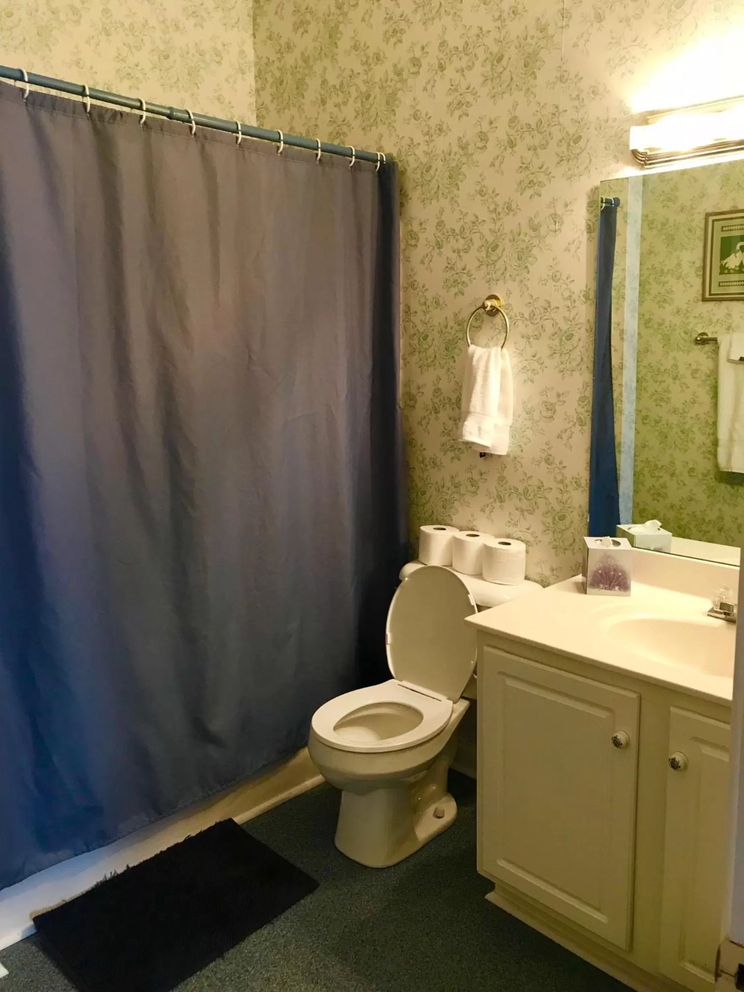 Bathroom in Rabbit Creek Bed & Breakfast