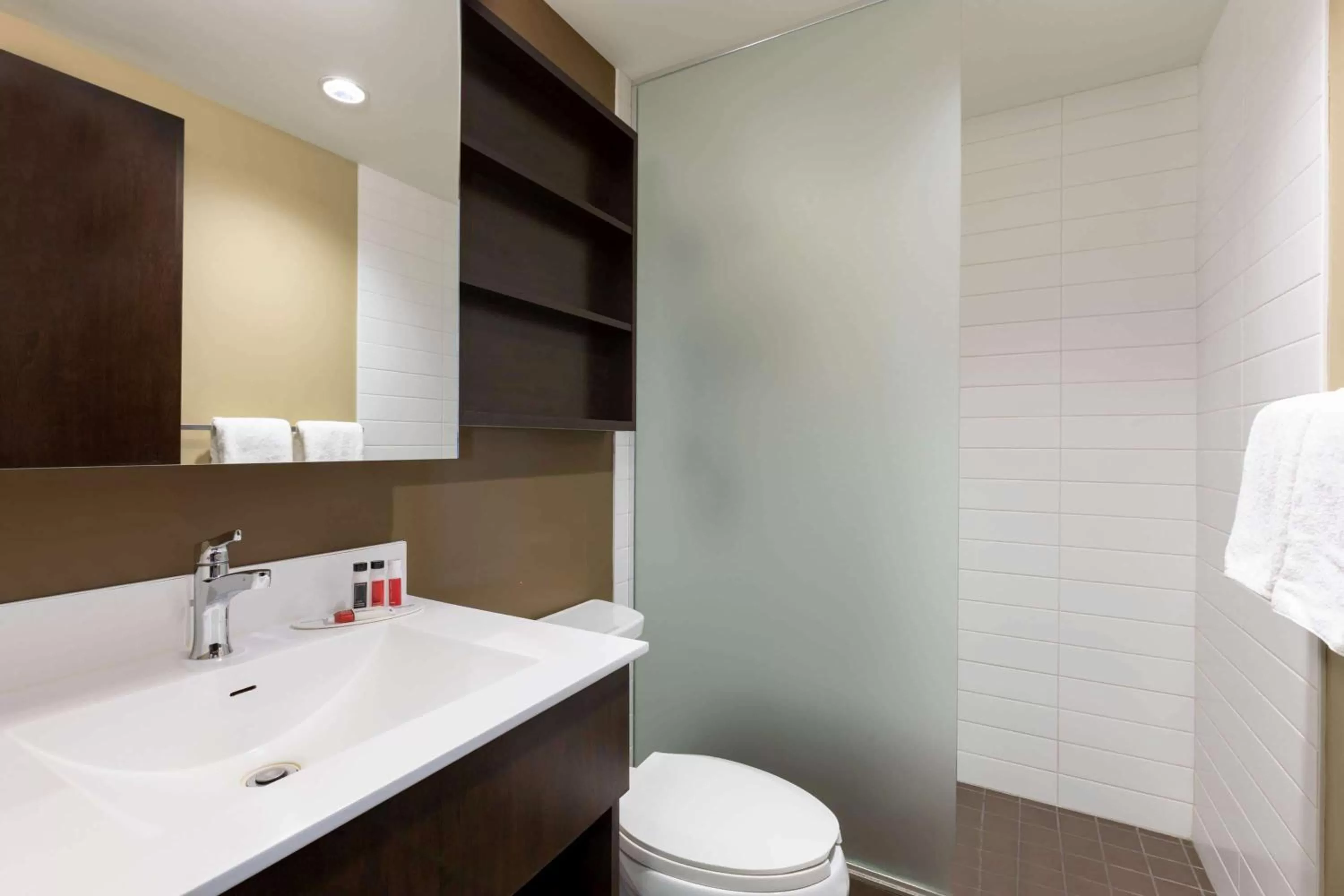 Bathroom in Microtel Inn & Suites by Wyndham Estevan