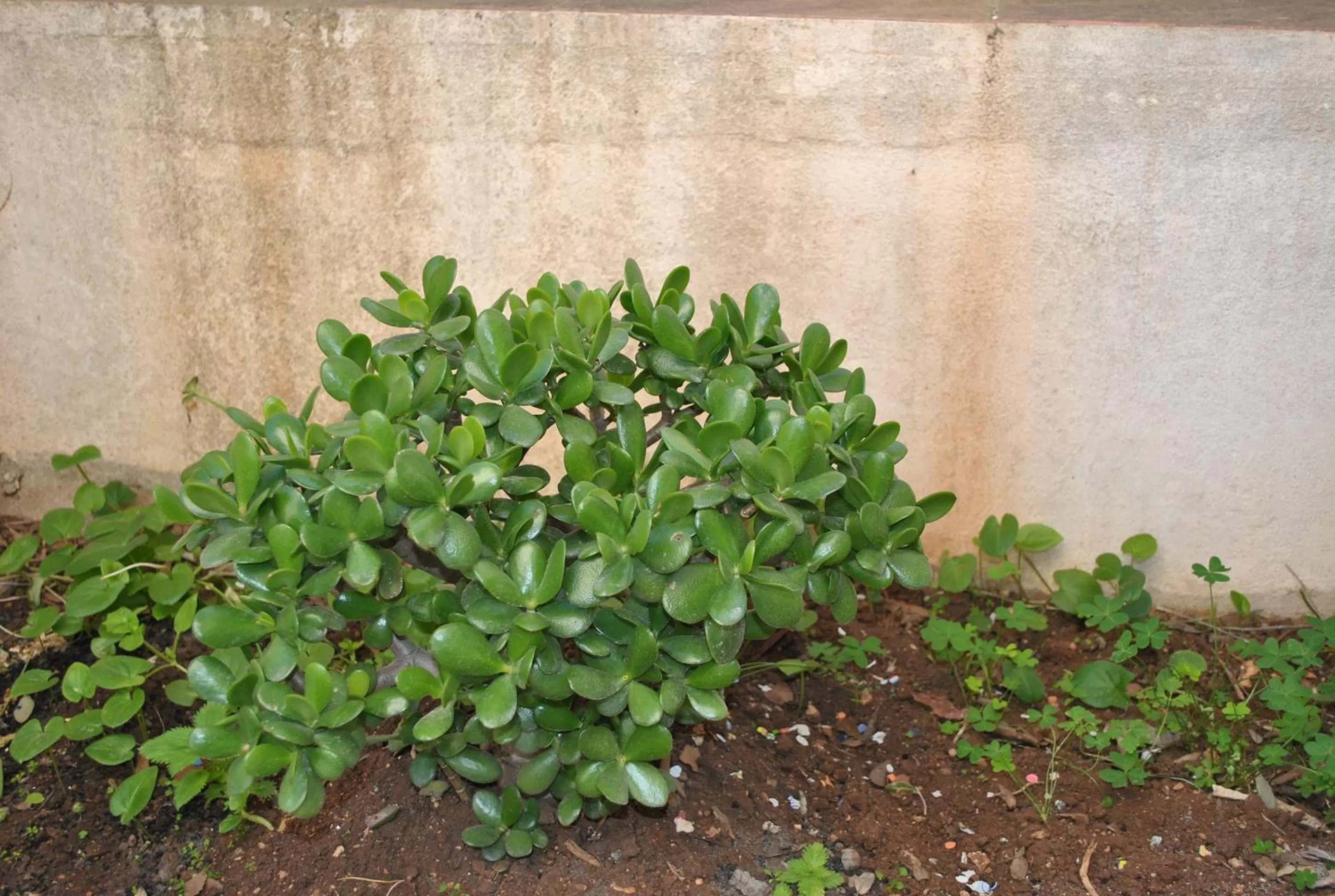 Le Dimore Del Sarto Polignano a mare