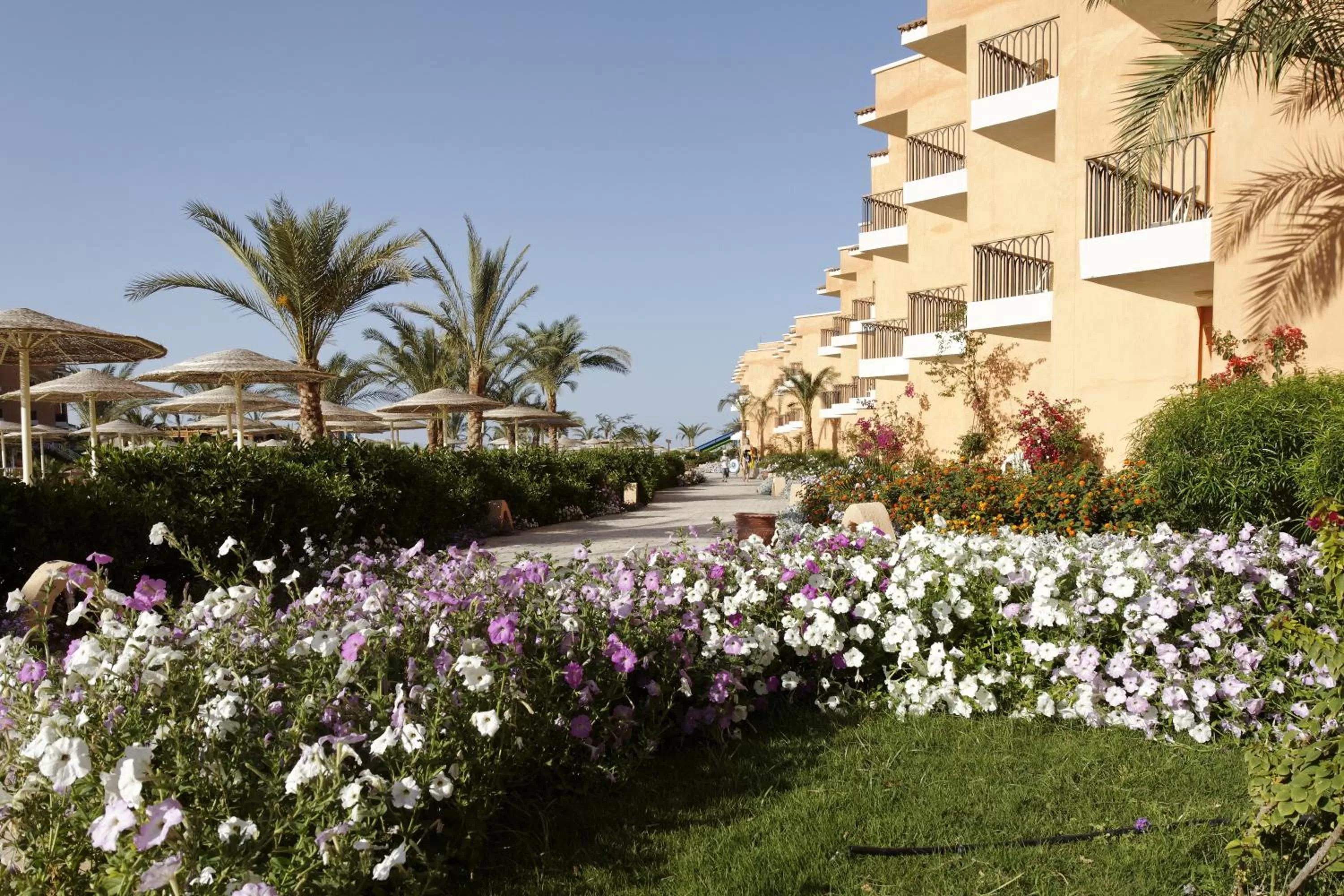 Facade/entrance in Three Corners Sunny Beach Resort