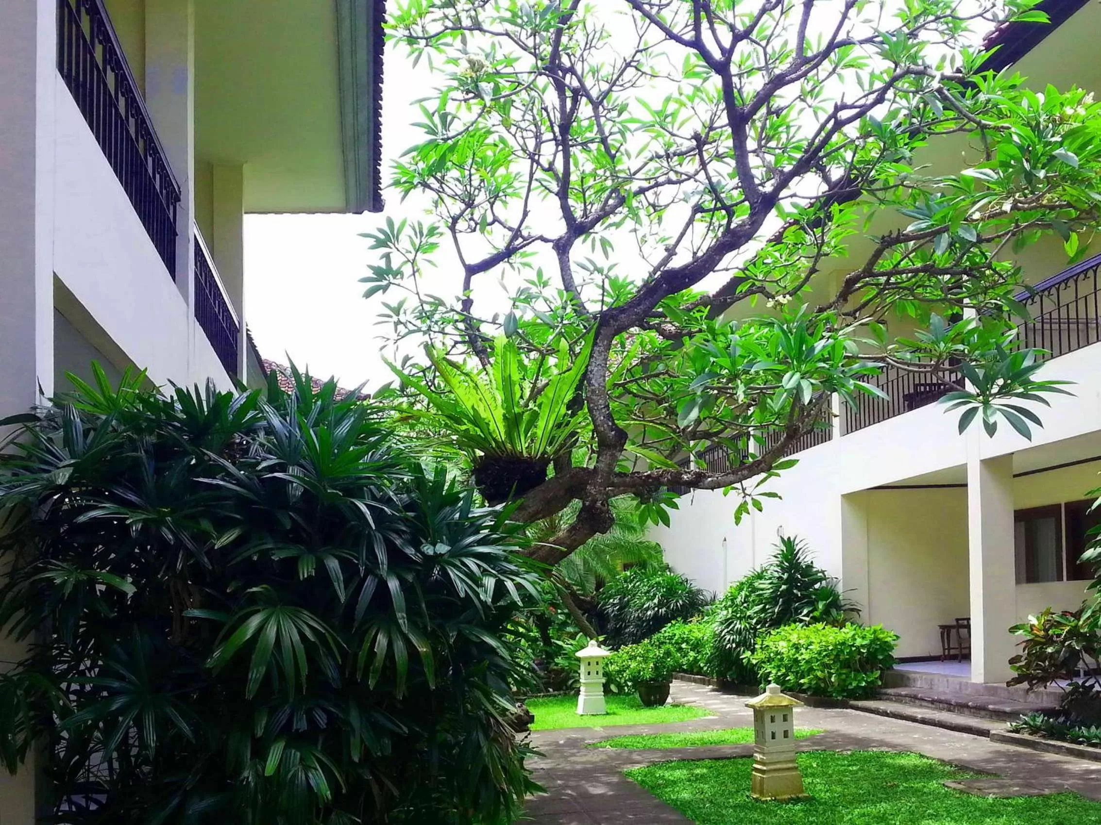 Garden in Legian Paradiso Hotel