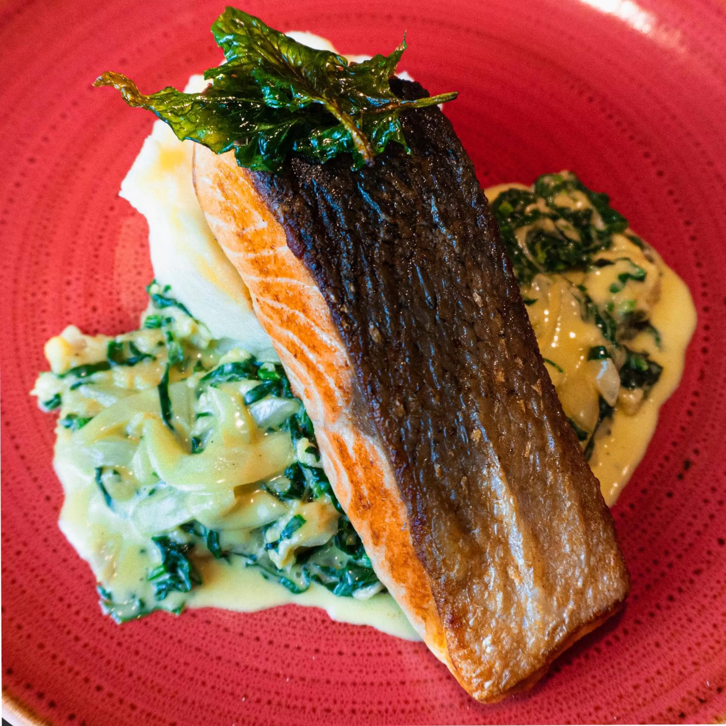 Restaurant/places to eat in ibis Barranquilla