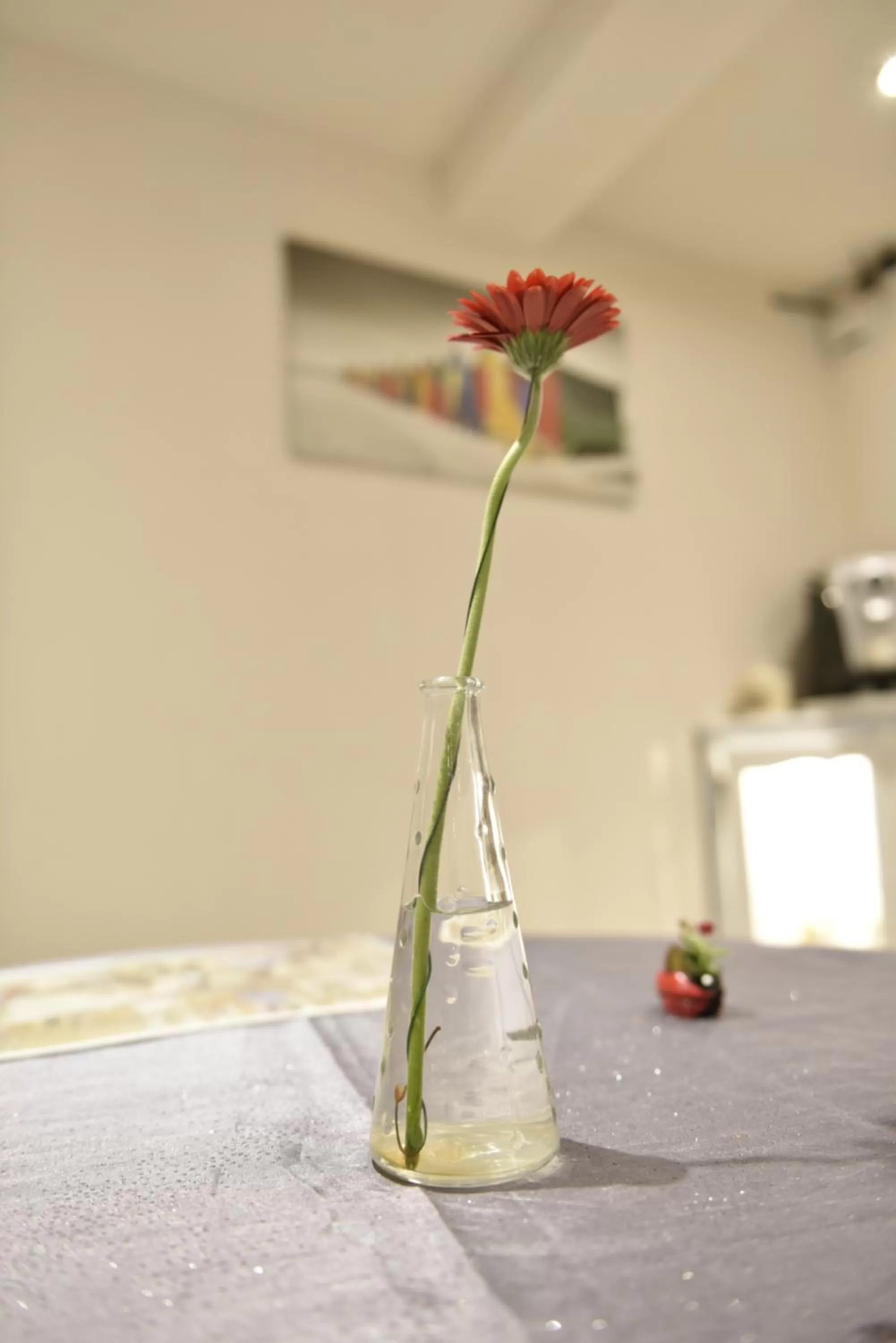 Decorative detail in Maison d'hôtes Aux Deux Cigognes