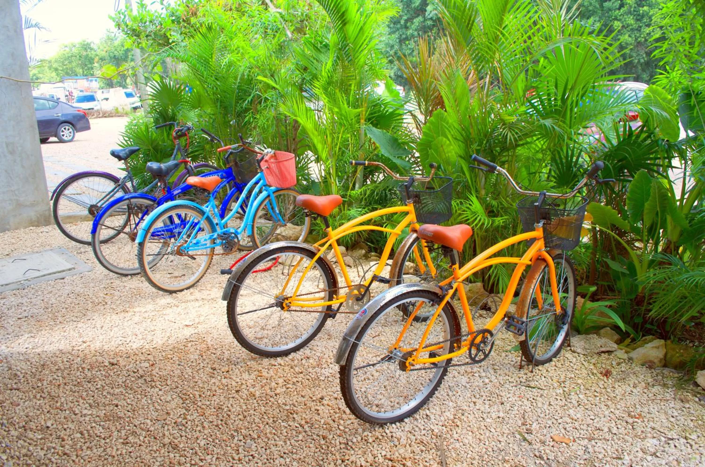 Day, Biking in Gardens Coba - Luxury Cardinal