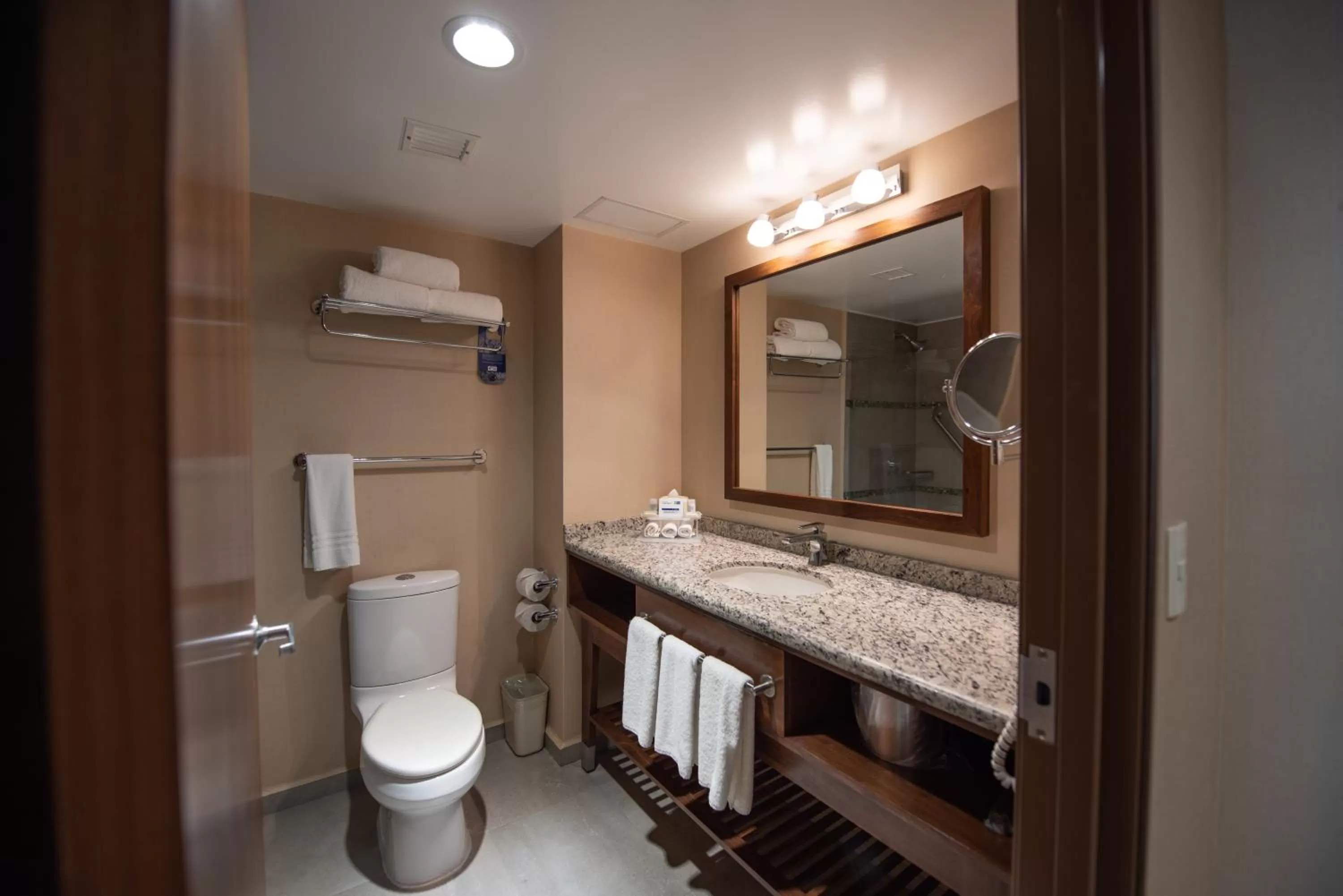 Toilet in Holiday Inn Express and Suites Celaya by IHG