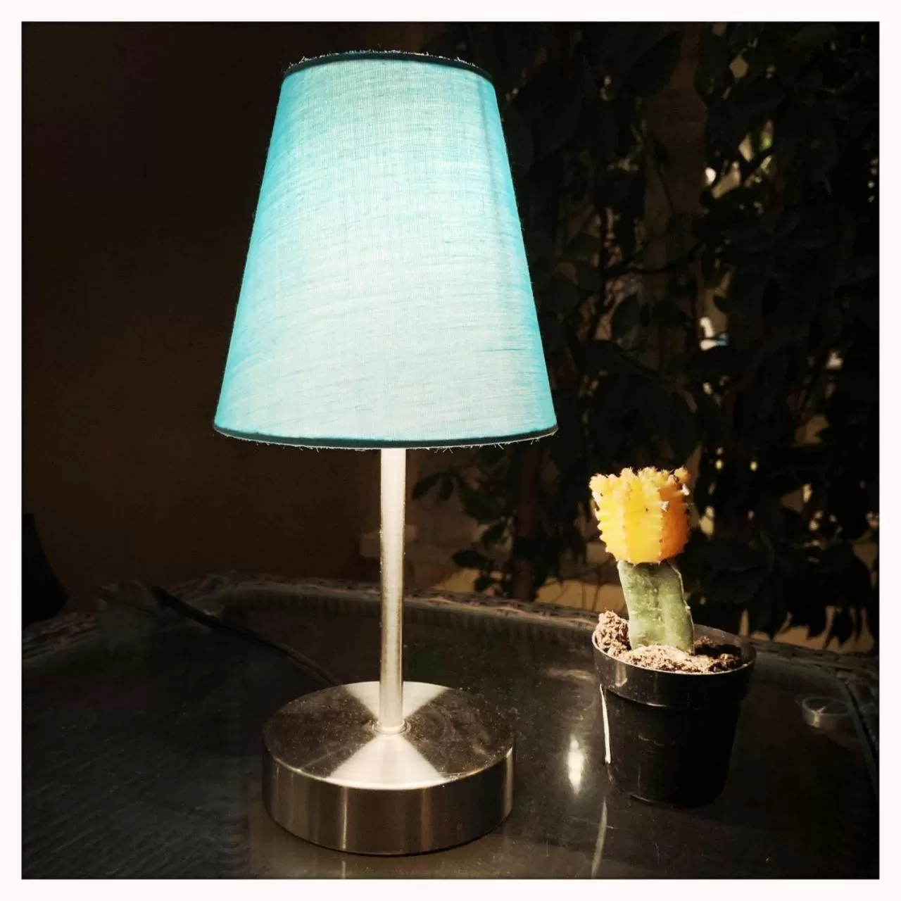 Patio in Little Paradise Hotel