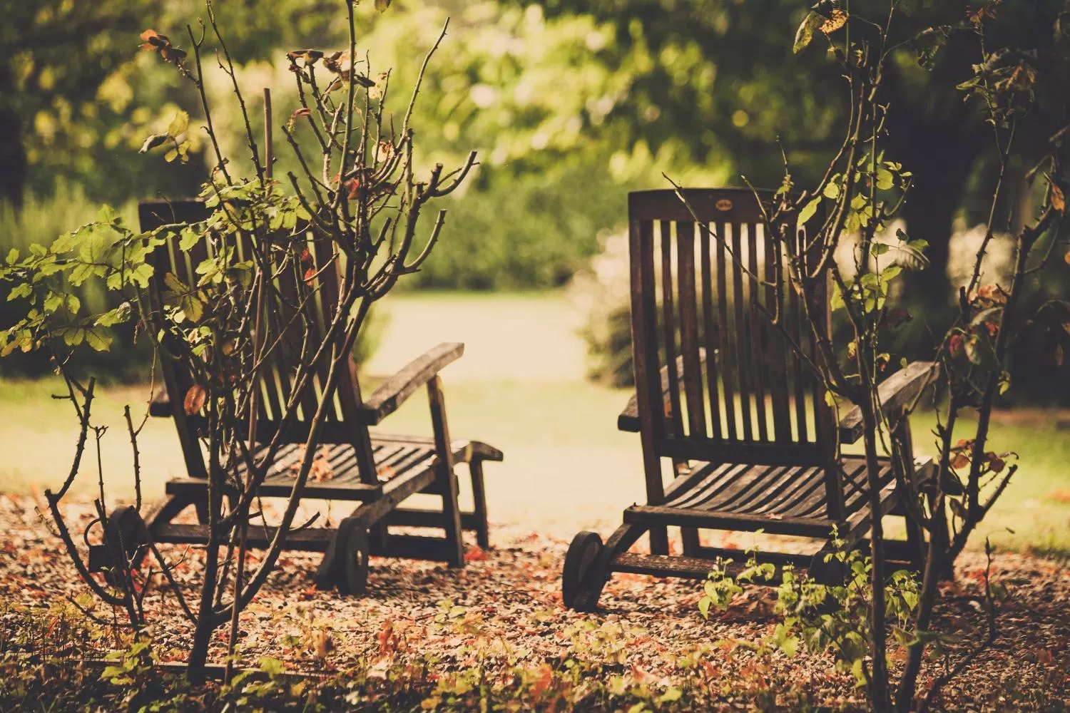 Garden in Le Pavillon Vert - B&B