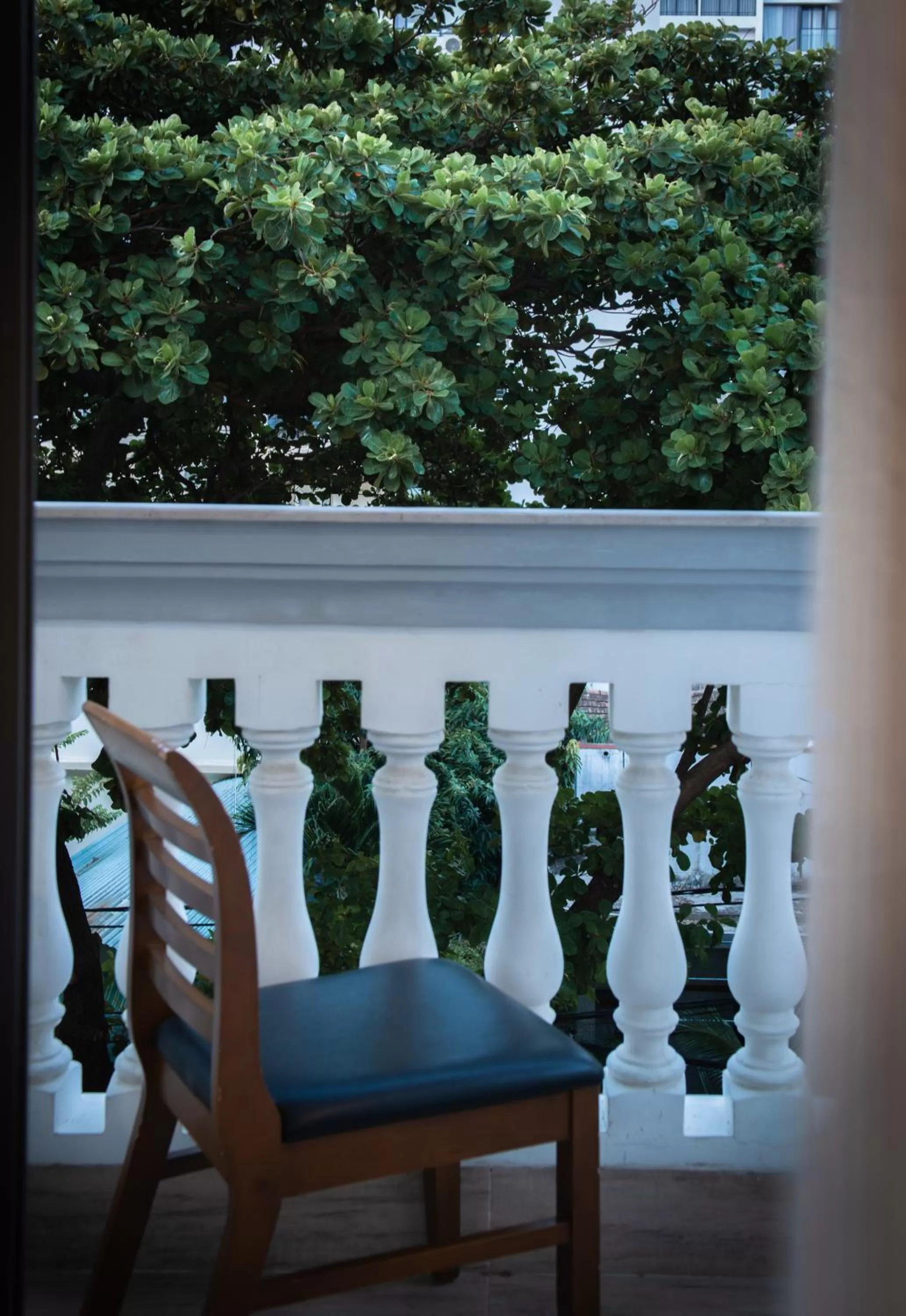 View (from property/room) in Seven Seas Hotel Nha Trang