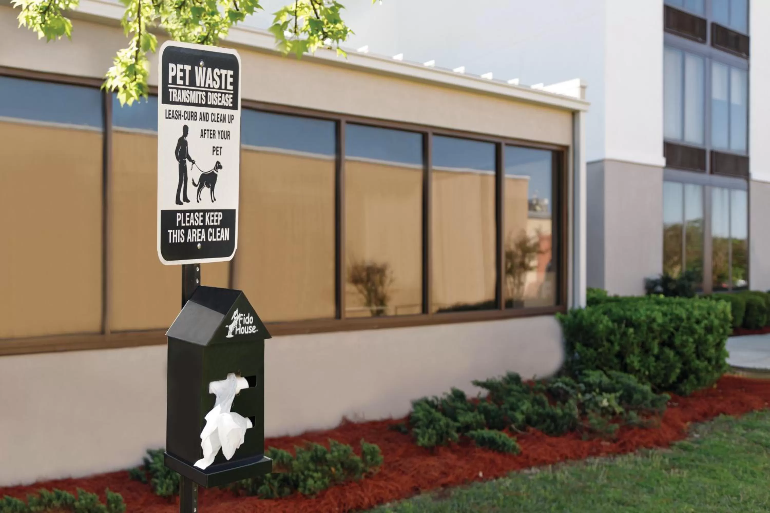 Pets in La Quinta inn & suites by Wyndham Dothan