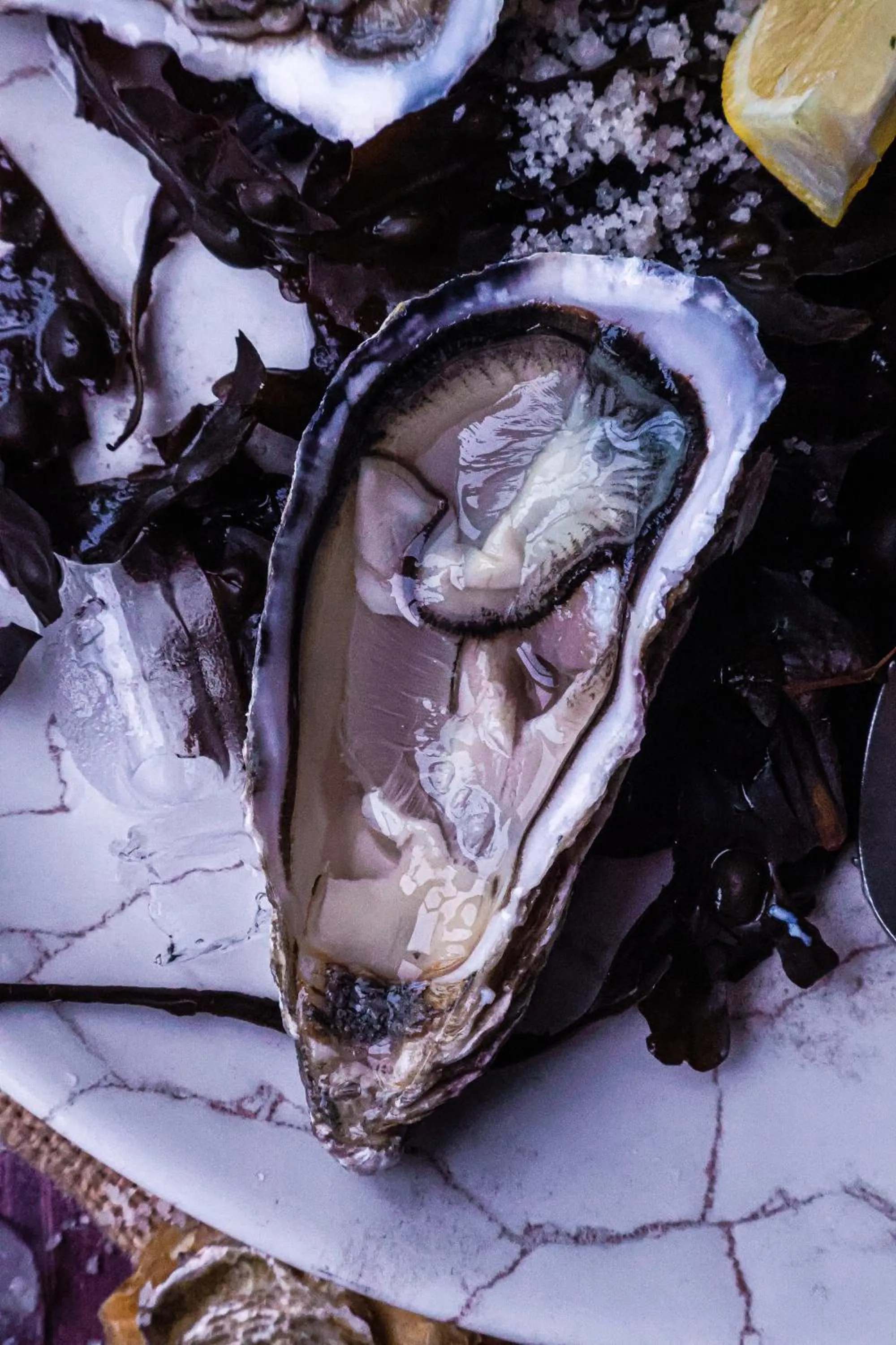 Restaurant/places to eat in Hôtel & Restaurant des Remparts