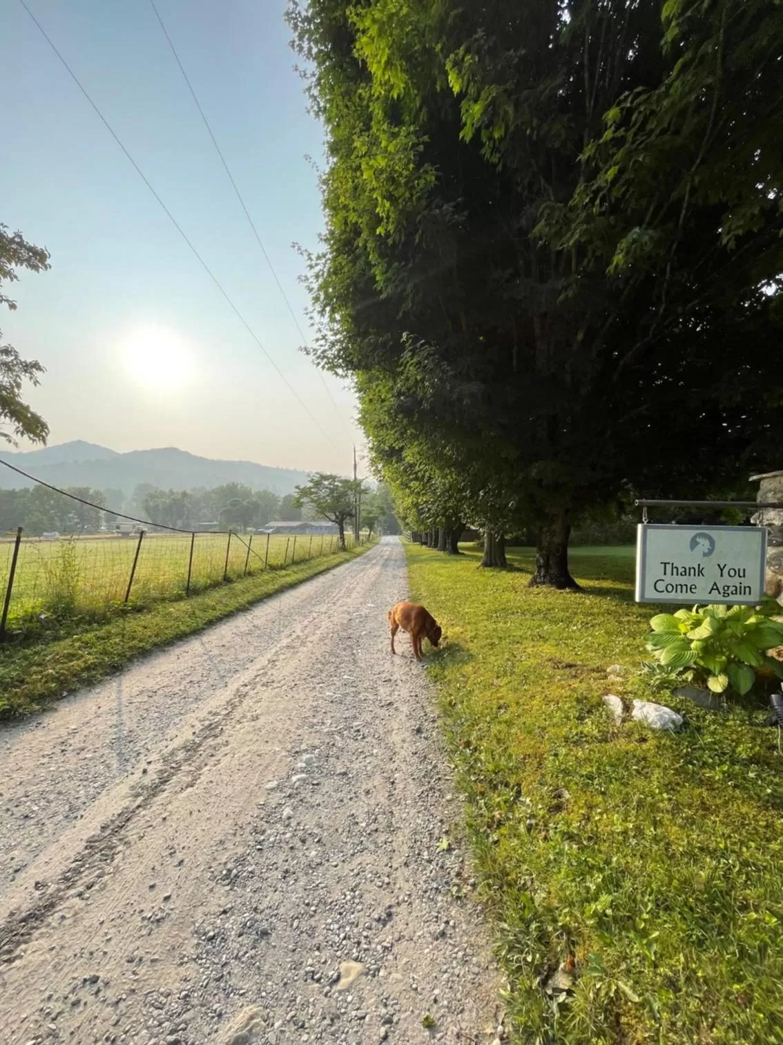 View (from property/room) in Folkestone Inn