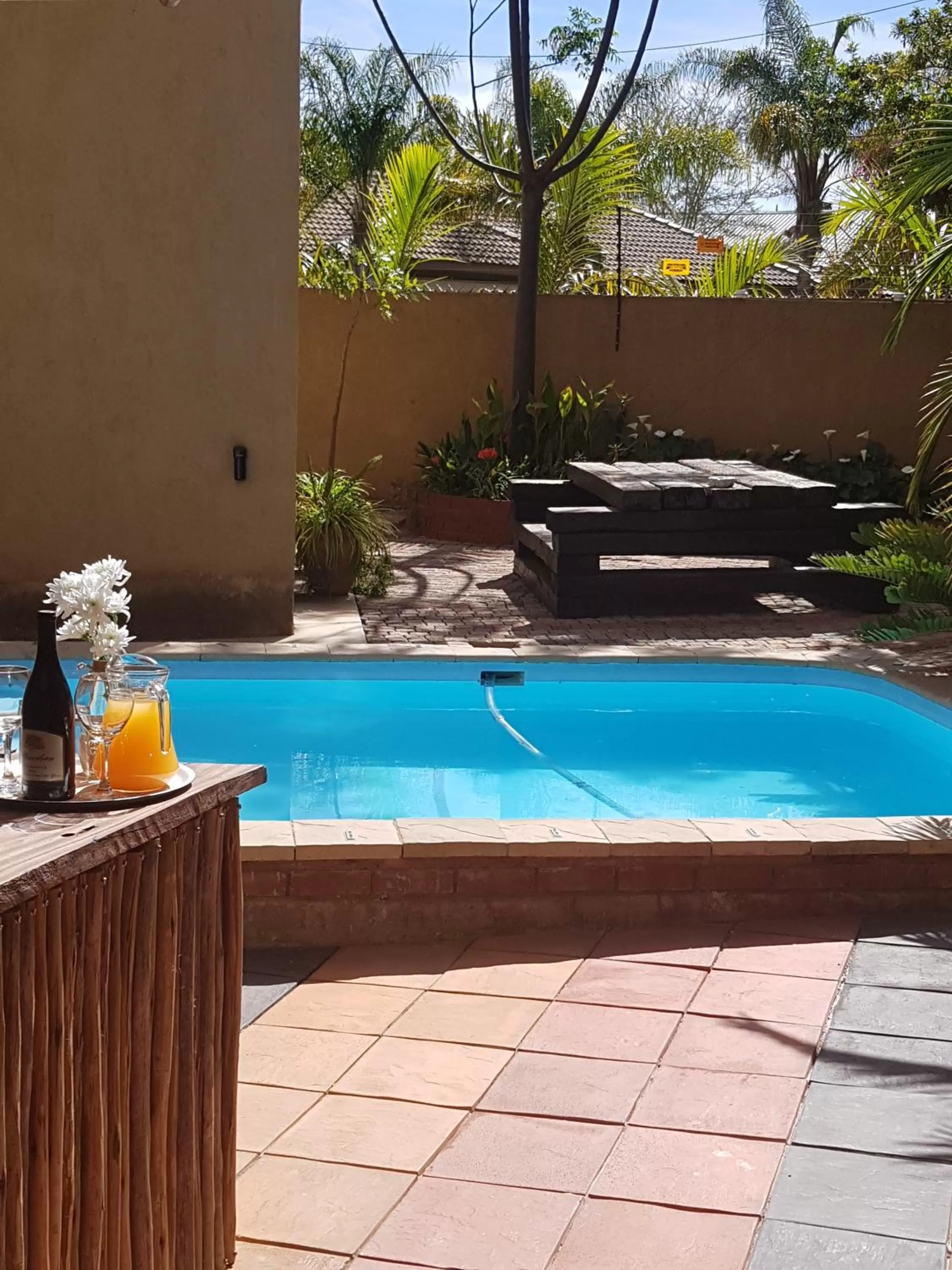 Swimming pool in The Leopard Tree