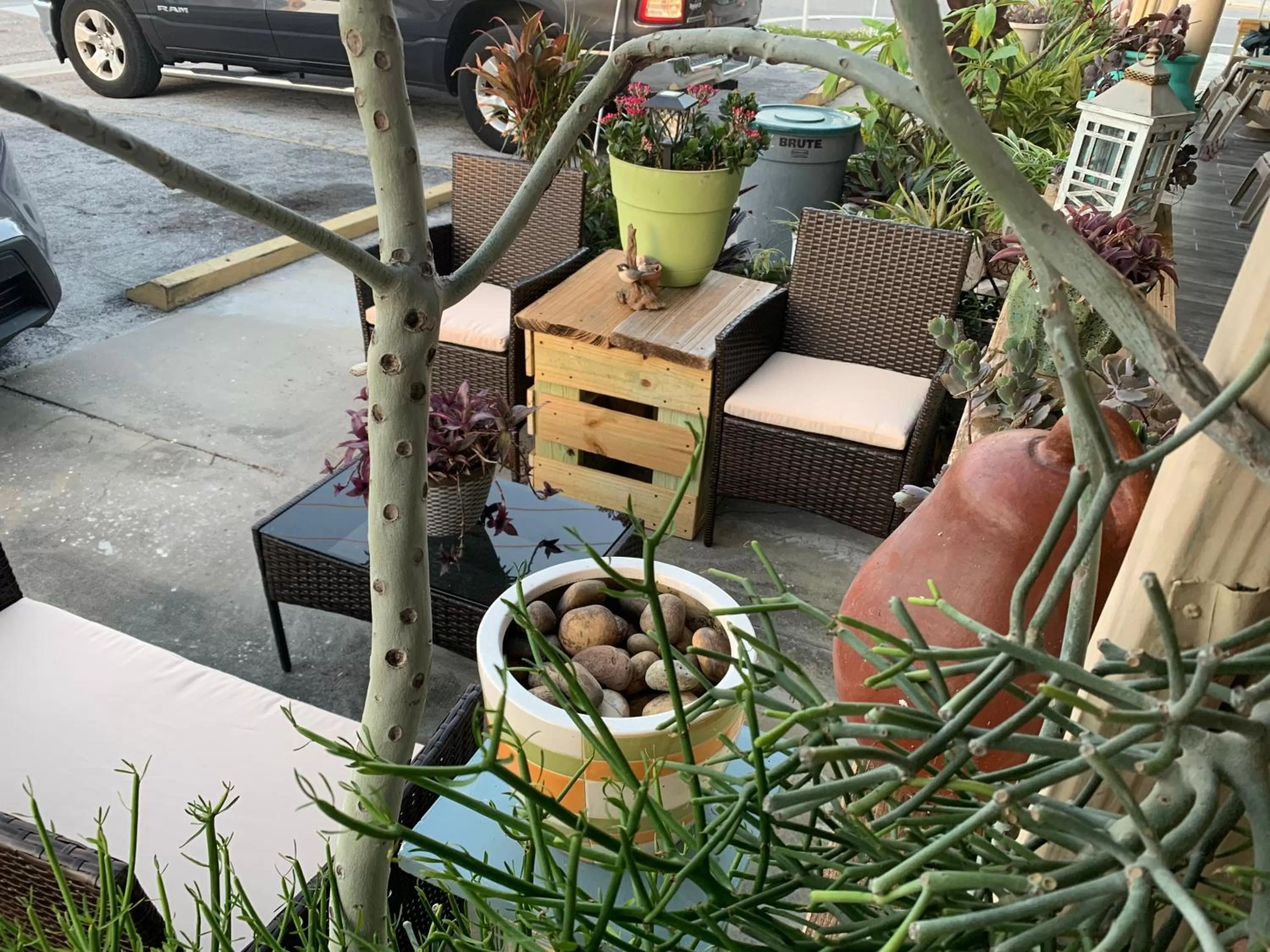 Michaels Siesta Studios