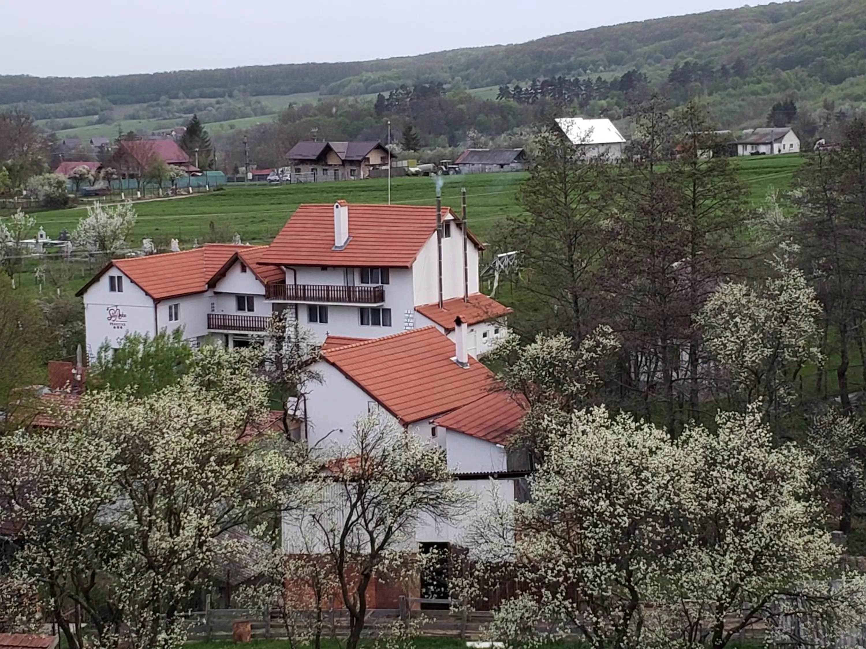 Property building in Pensiunea SilvAnka