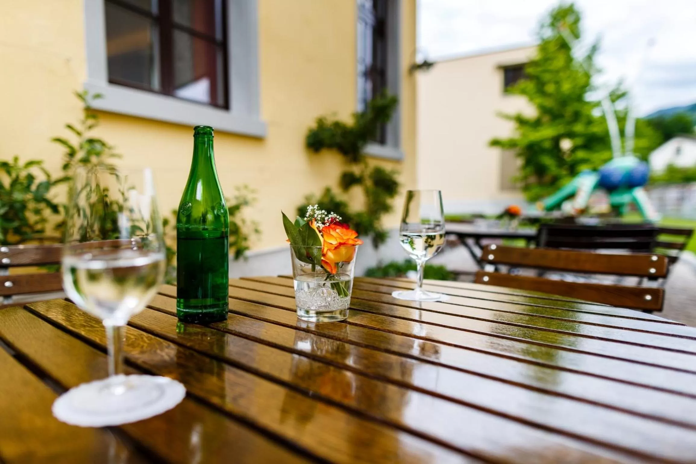 Garden in Hotel Bleichibeiz