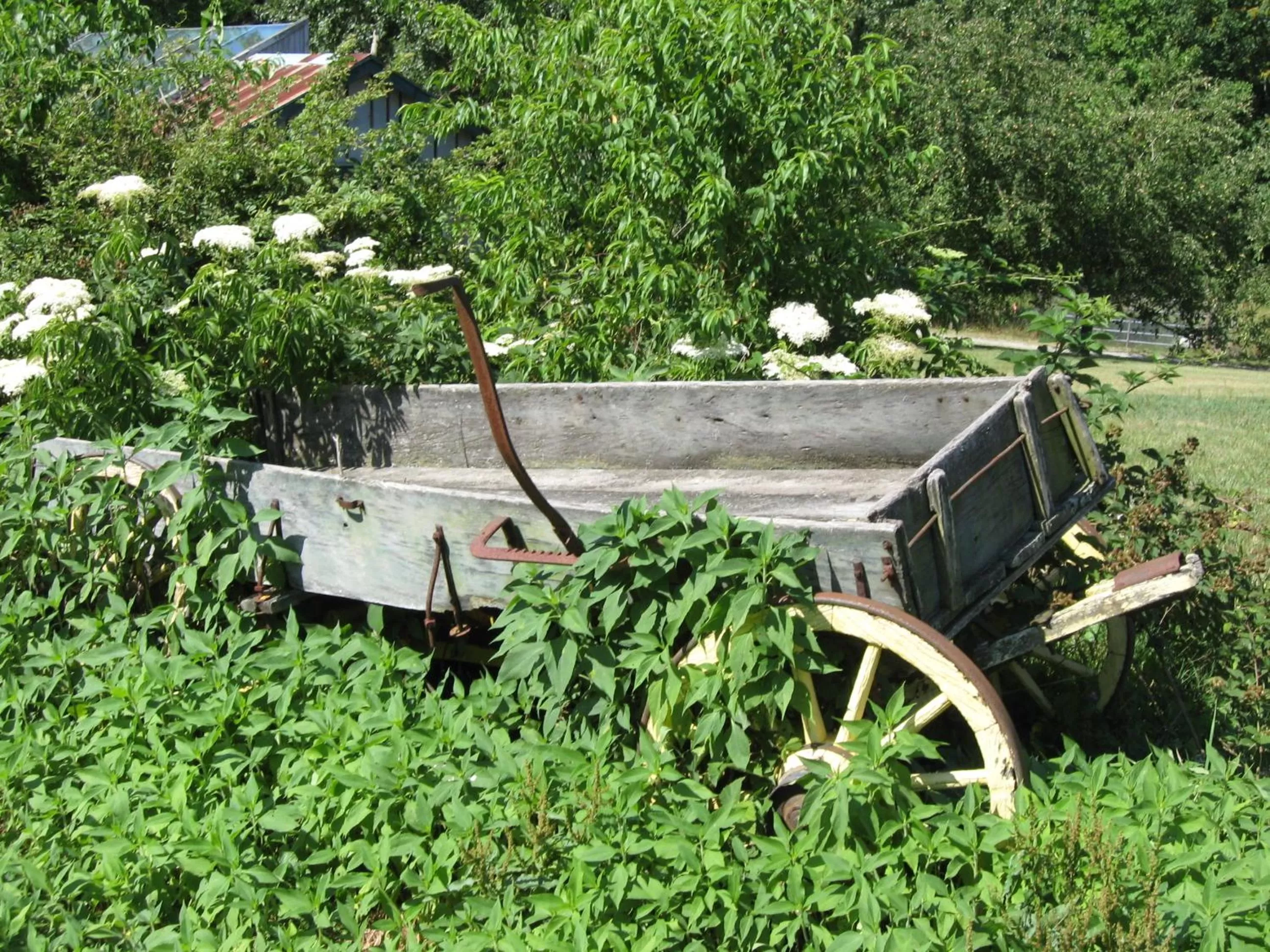 Day in Highland Lake Inn & Resort - Flat Rock