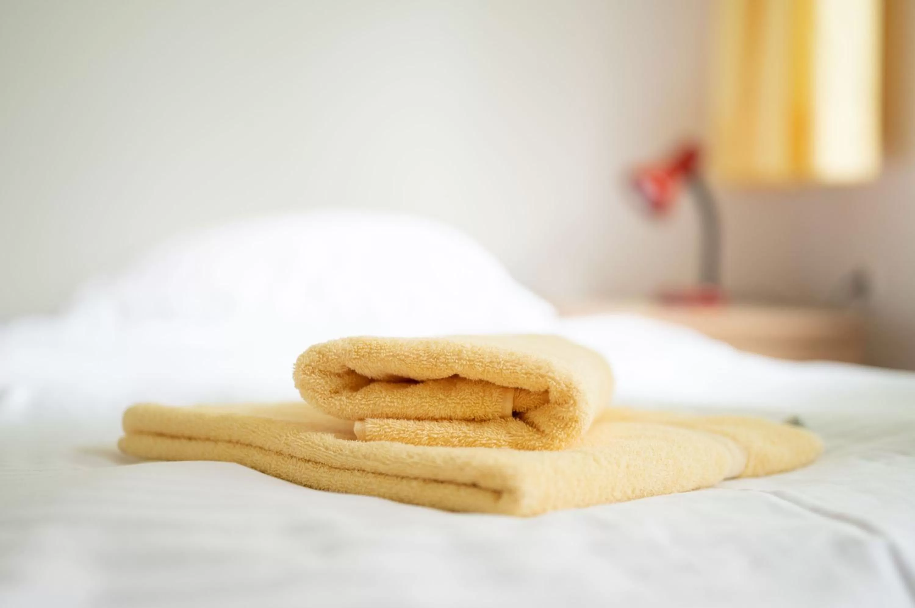 Single Room in seezeit-resort am Werbellinsee