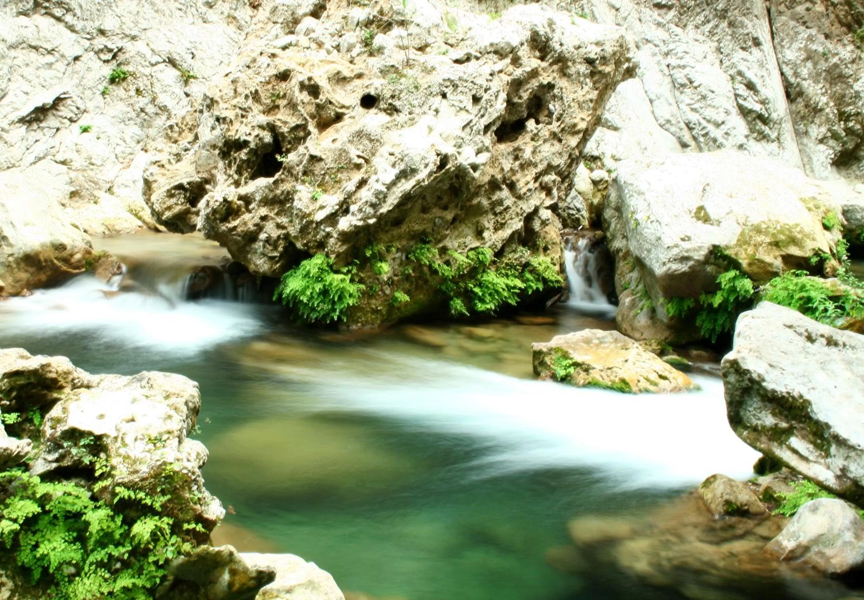 Hiking, Natural Landscape in Dar Meziana