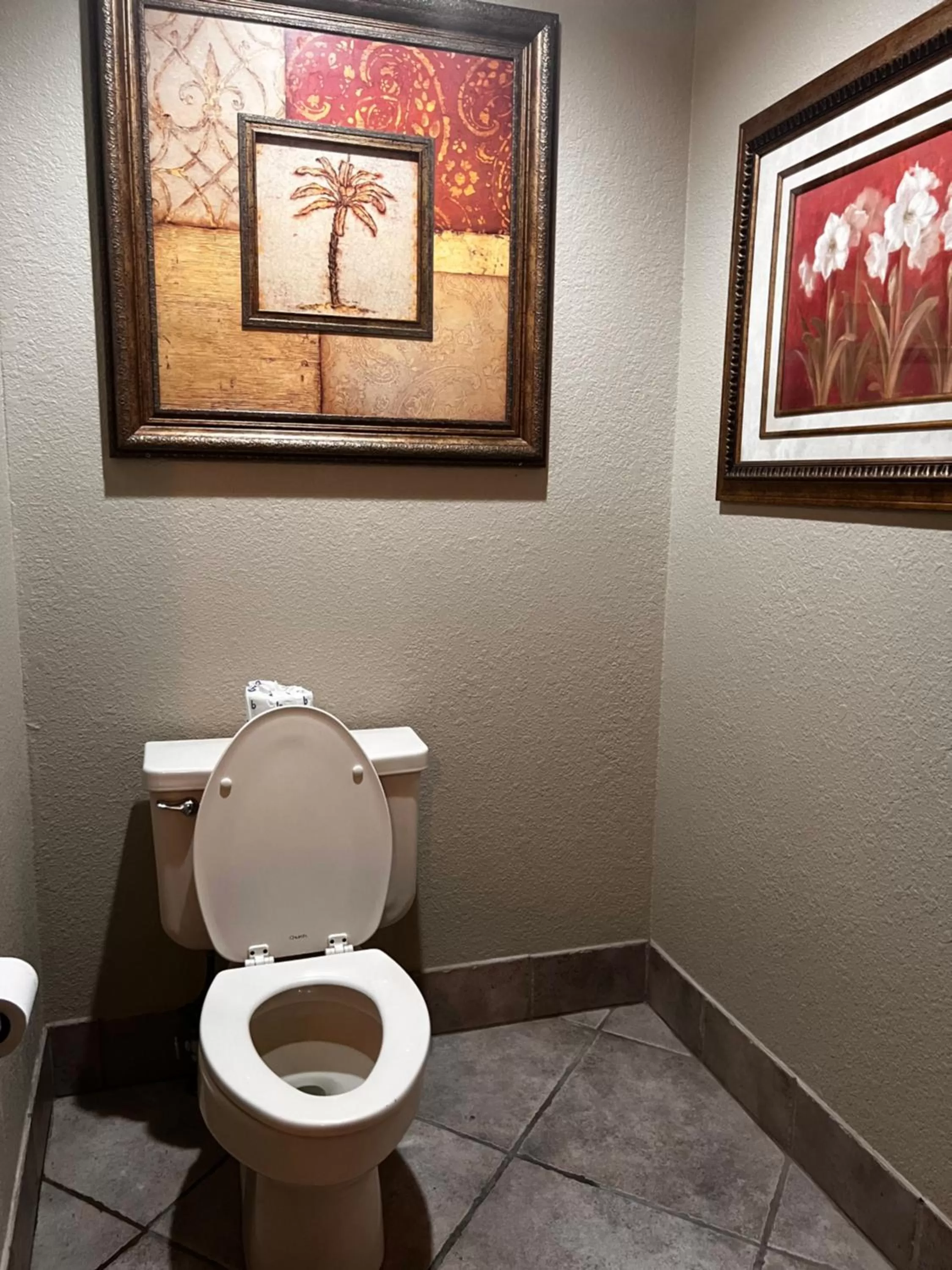 Toilet in Apple Tree Inn