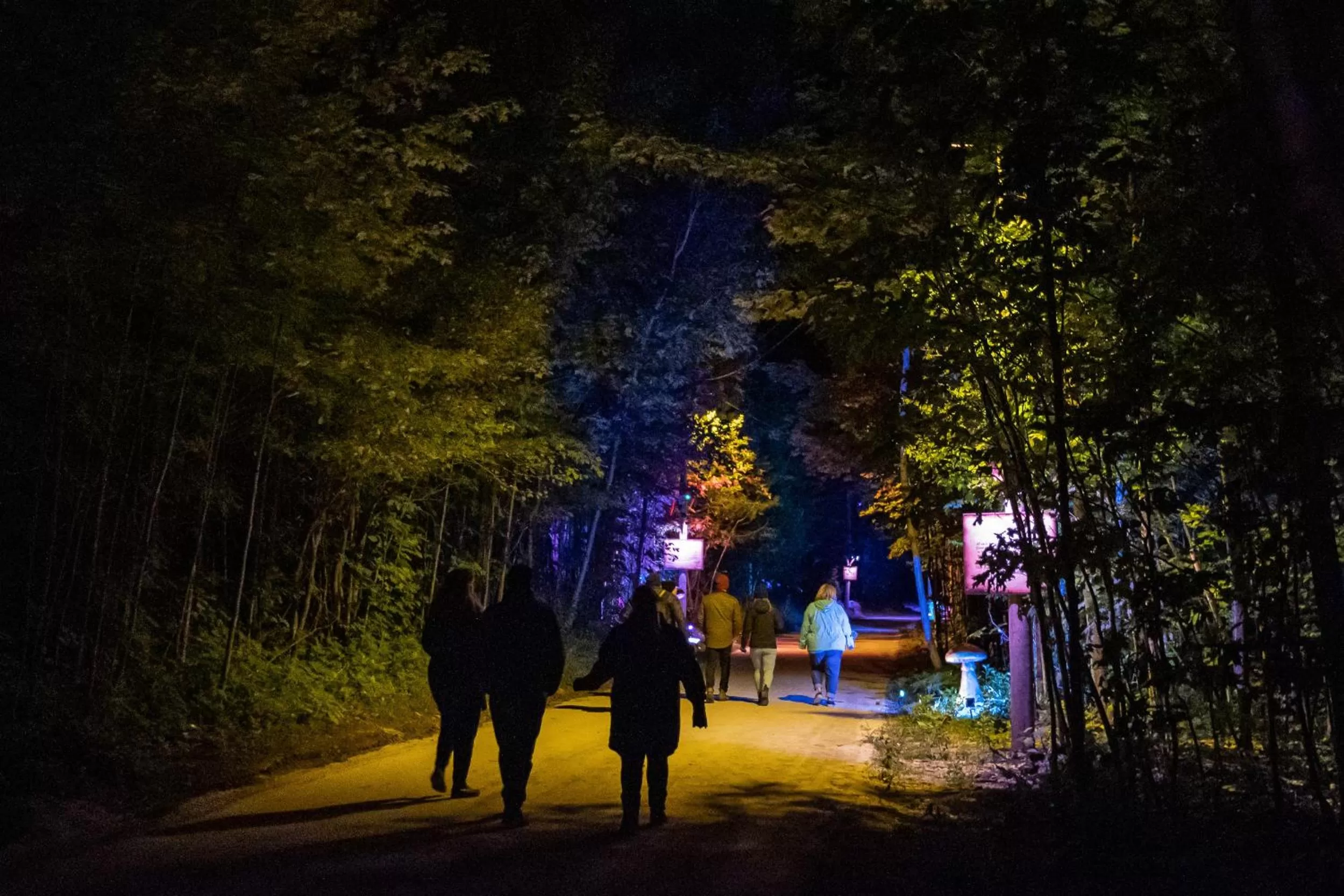 Night in Blue Mountain Resort Home Collection