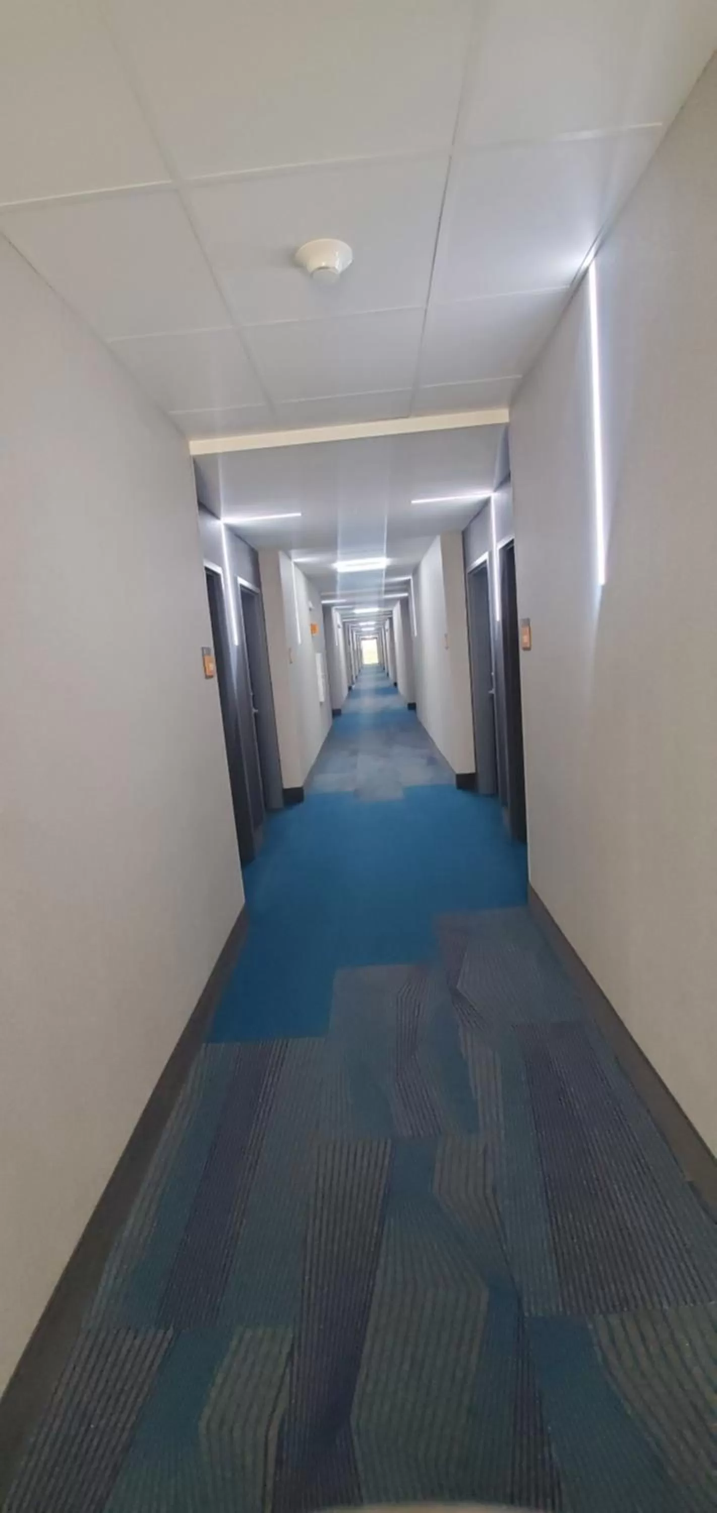 Area and facilities in La Quinta Inn & Suites by Wyndham Fort Stockton Northeast