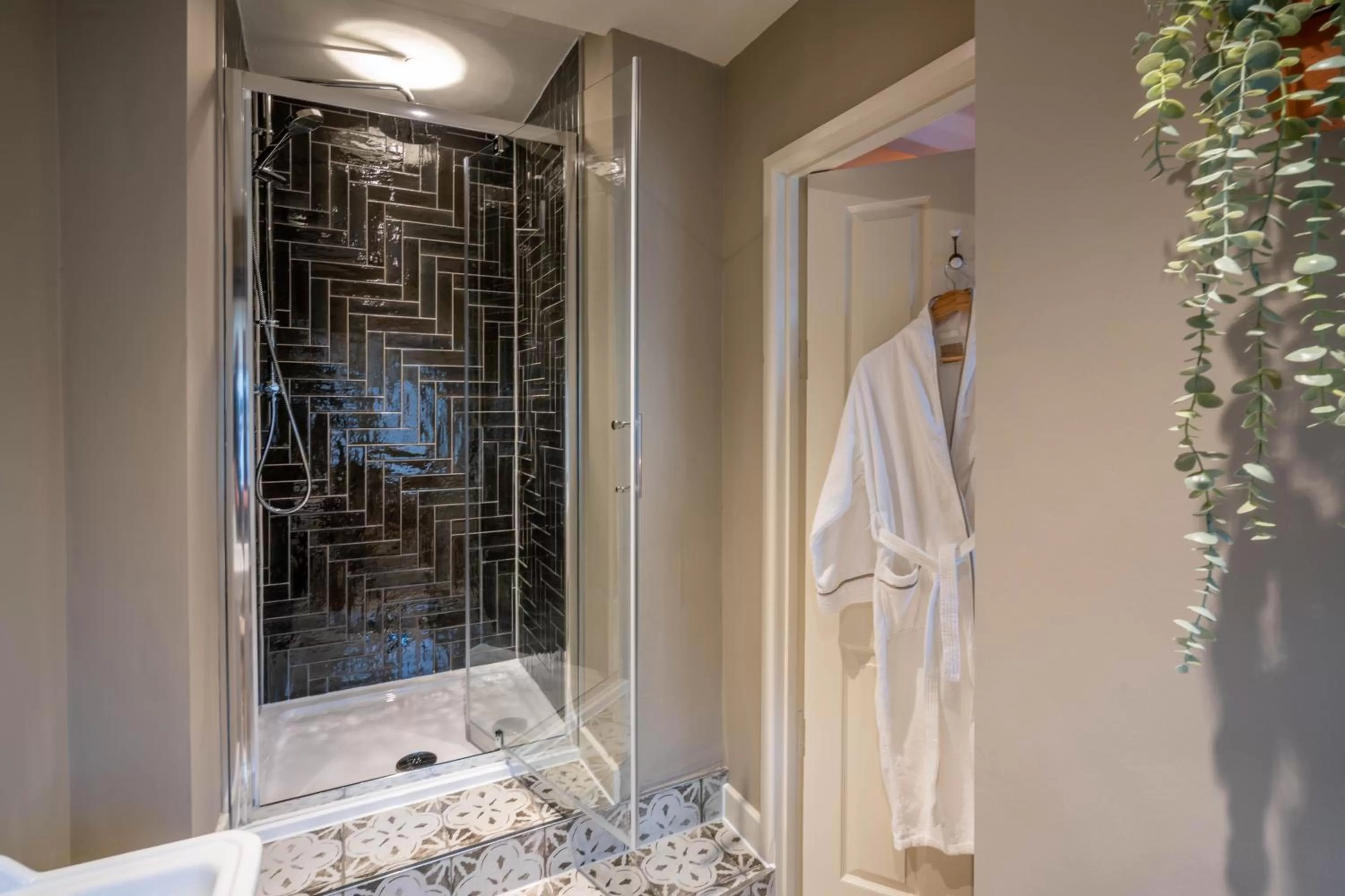 Shower in The George Inn & Plaine