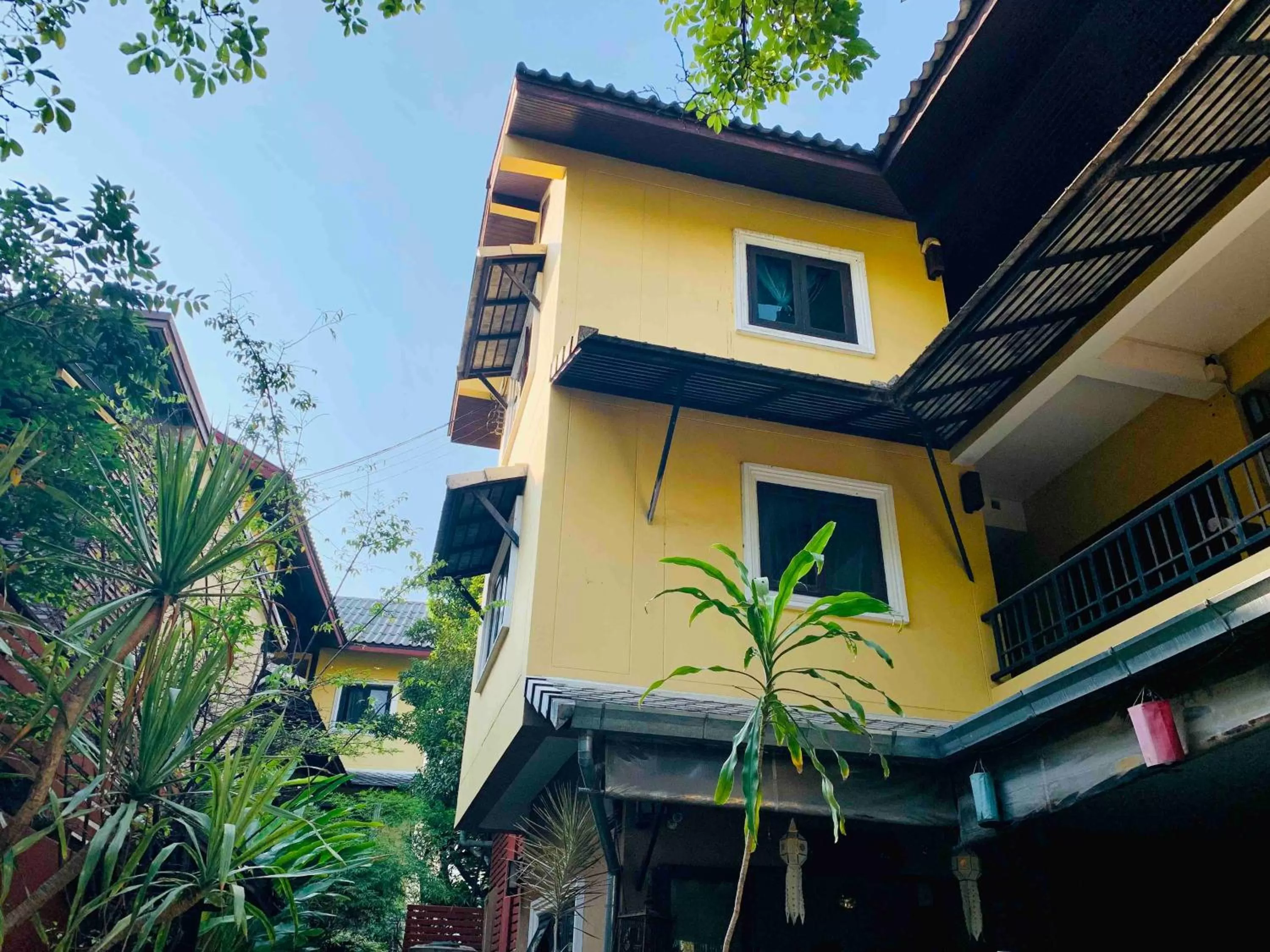 Property building in Thapae Boutique House