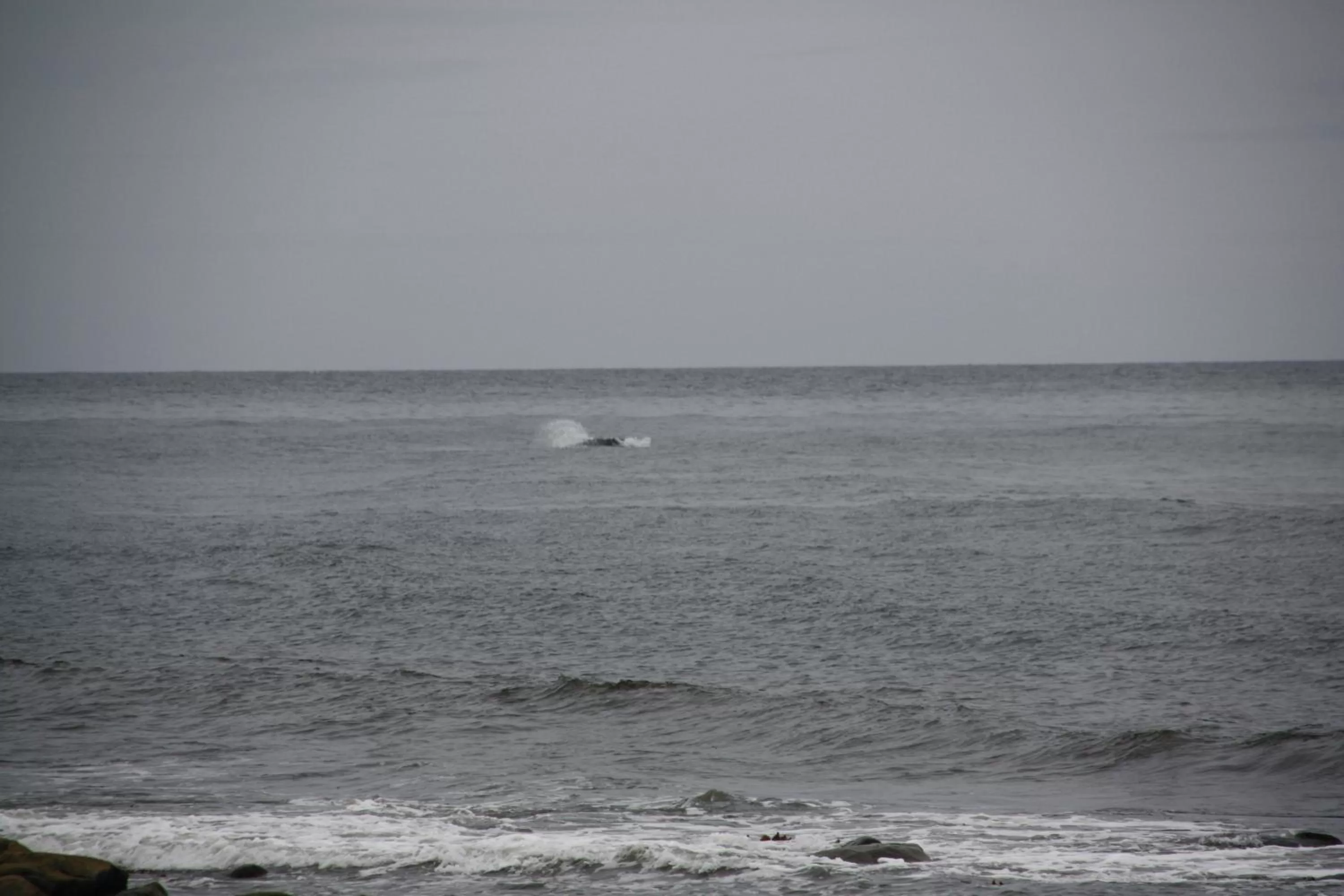Sea view, Natural Landscape in La Maison entre Mer Montagnes