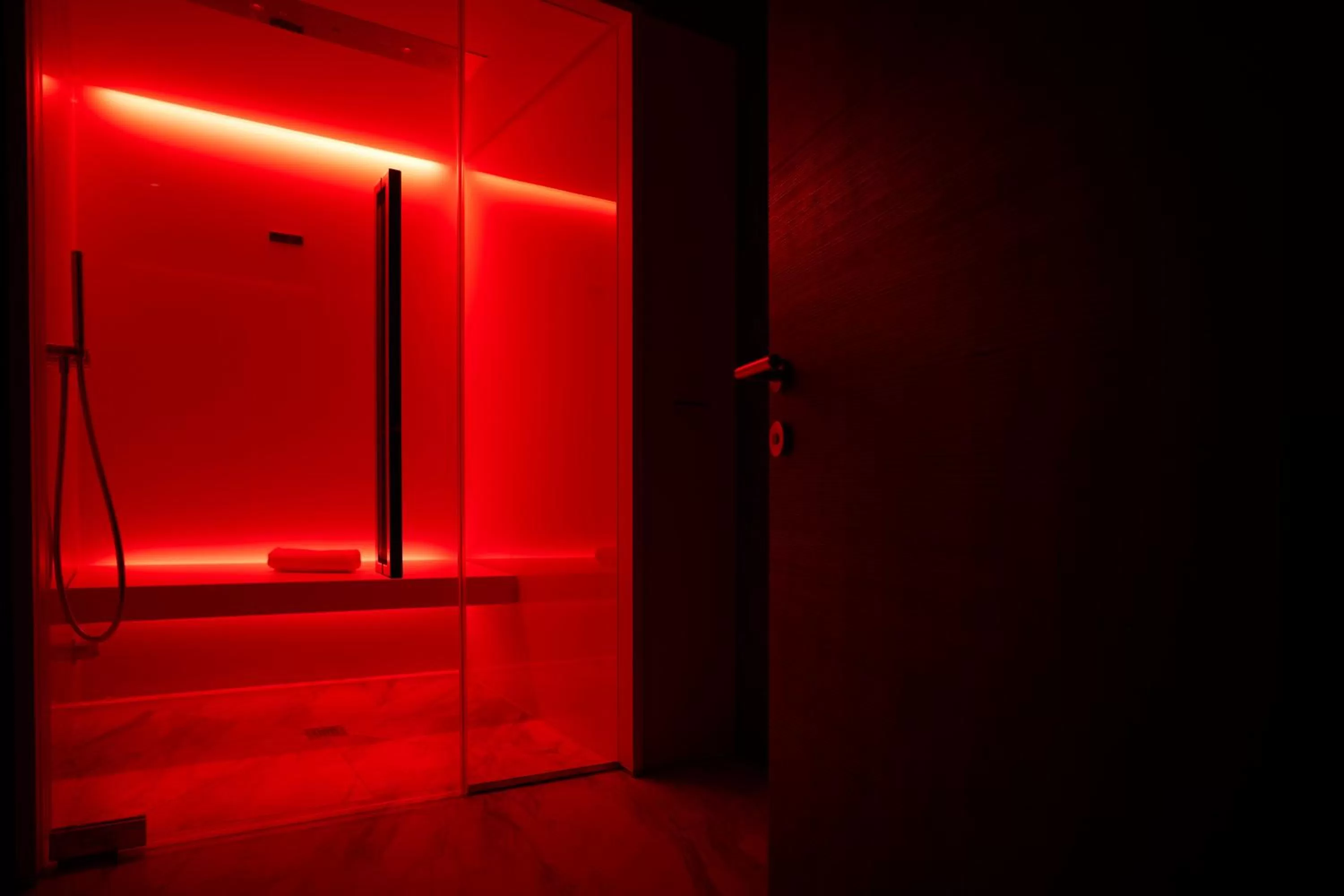 Spa and wellness centre/facilities in Hotel Concord