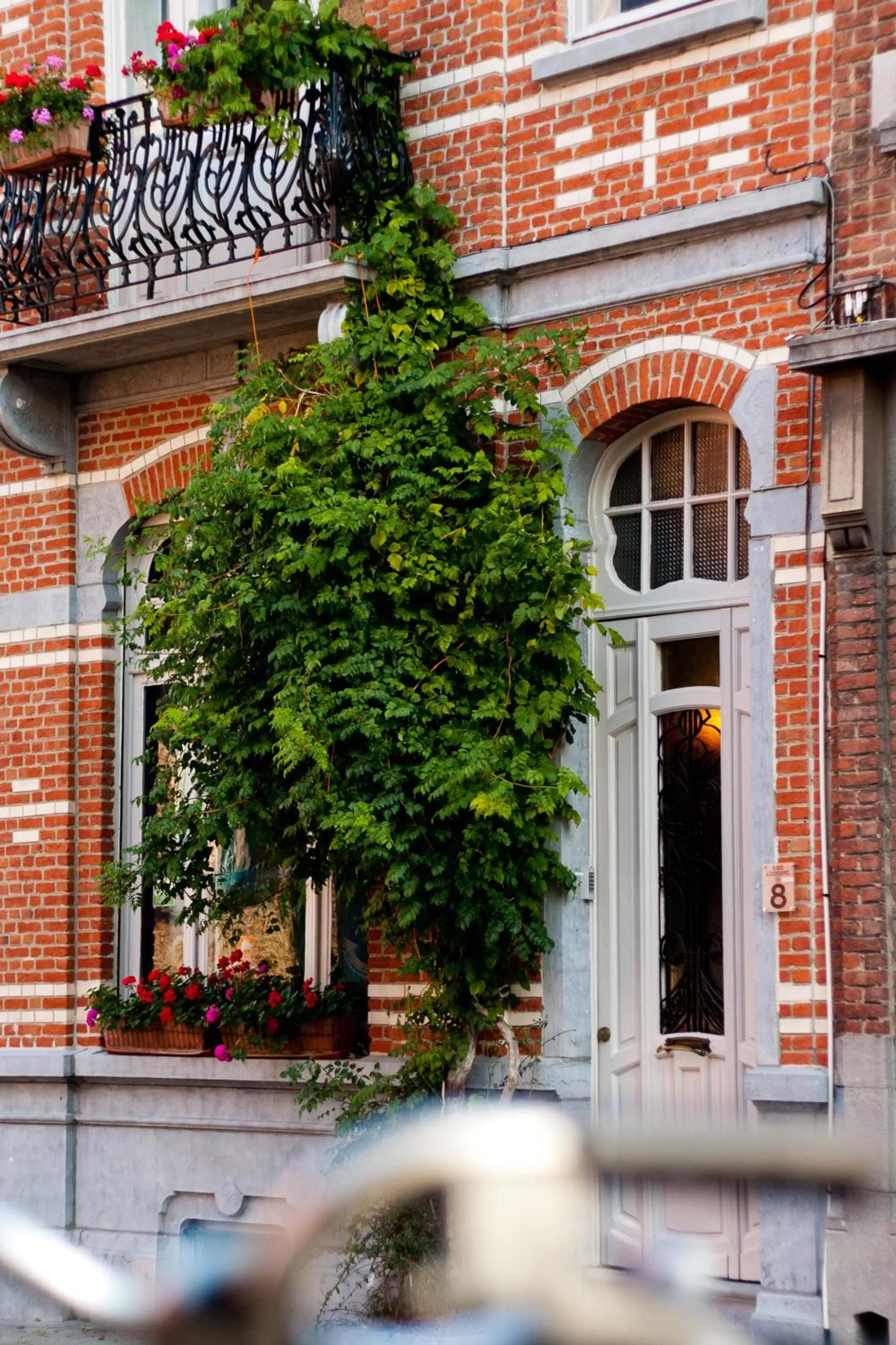 Property building in B&B Lodging At 8