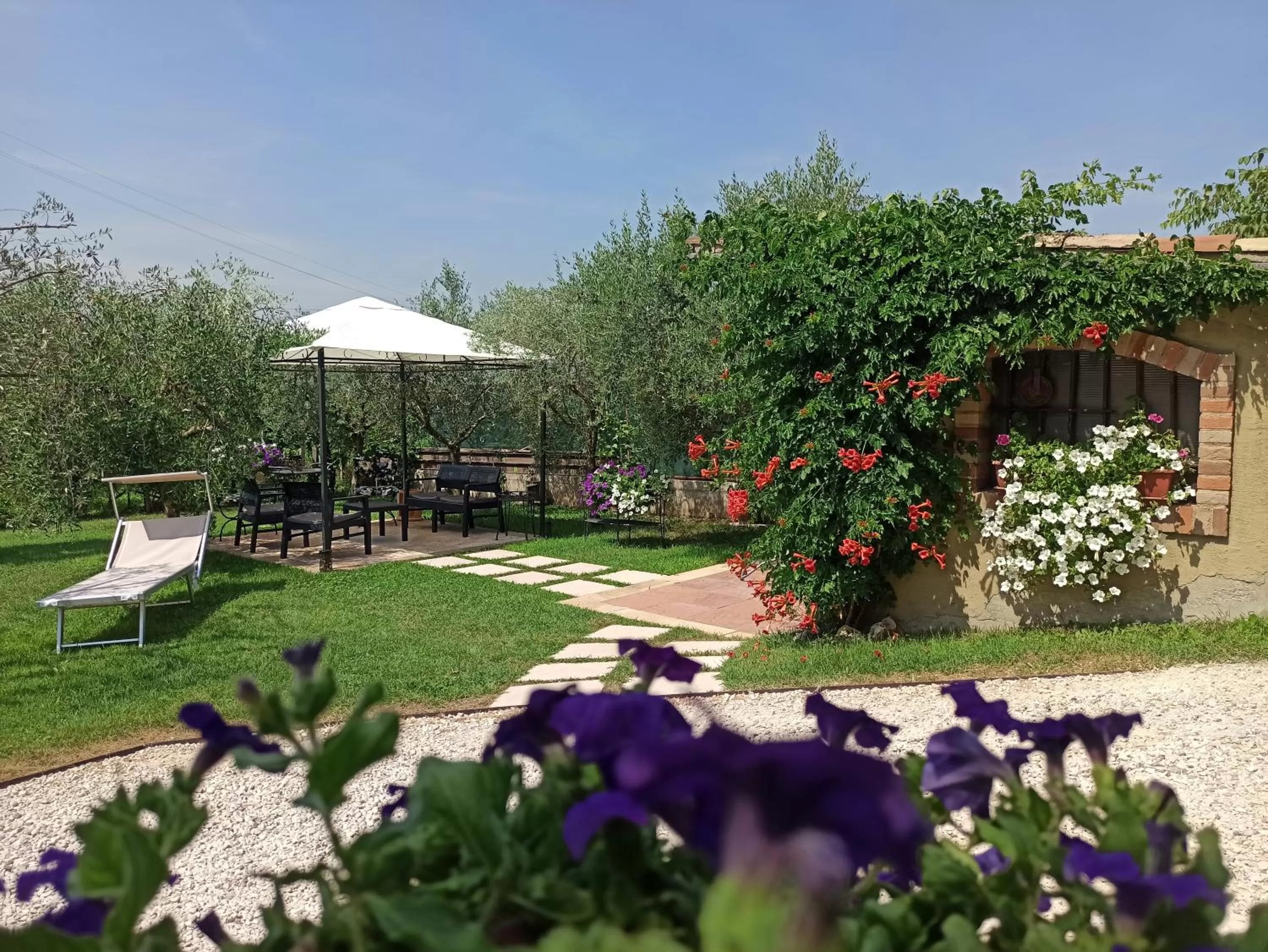Garden view in Le Zampolle B & B