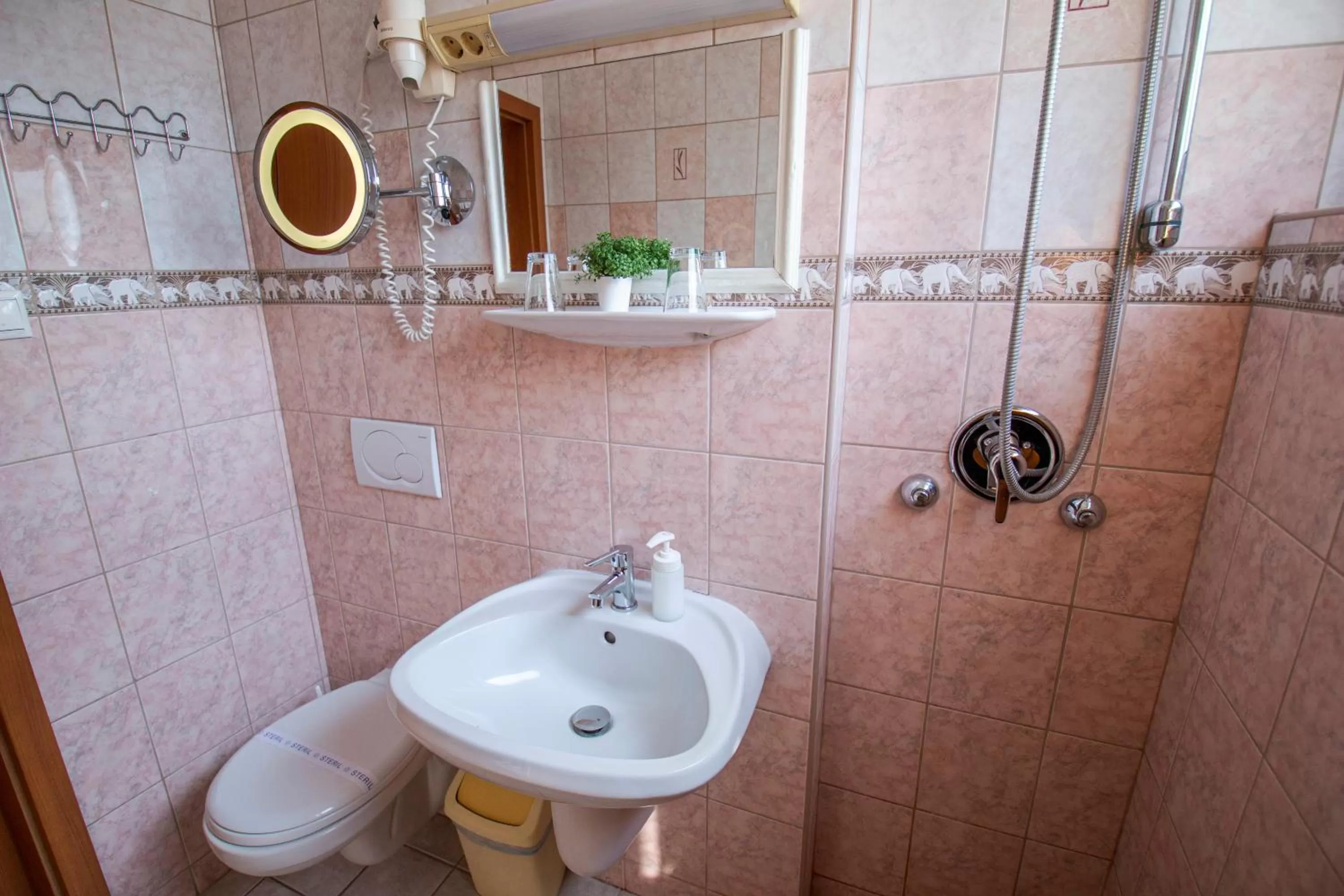 Shower in Richter Pansion