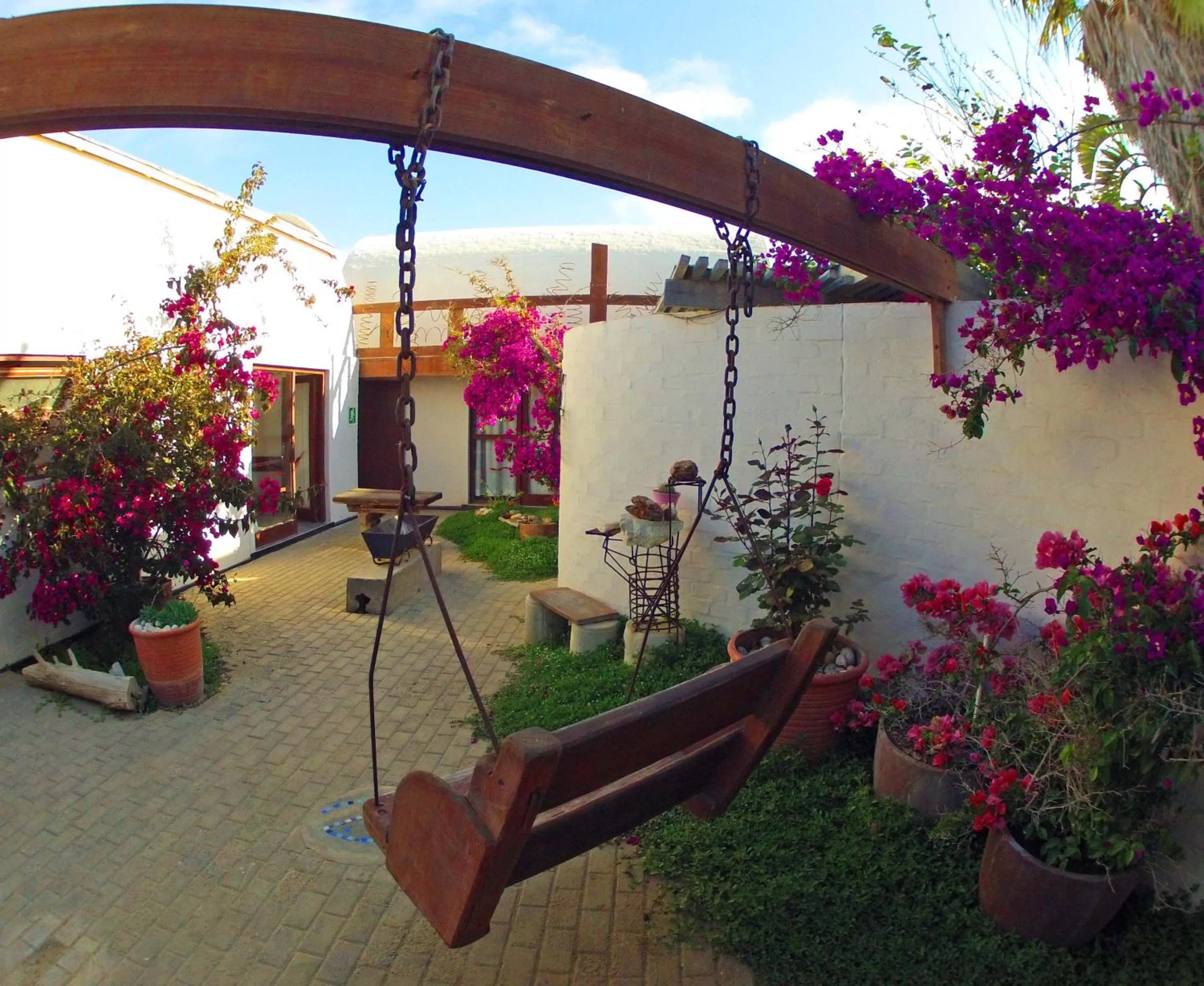 Patio, Garden in Alternative Space B & B